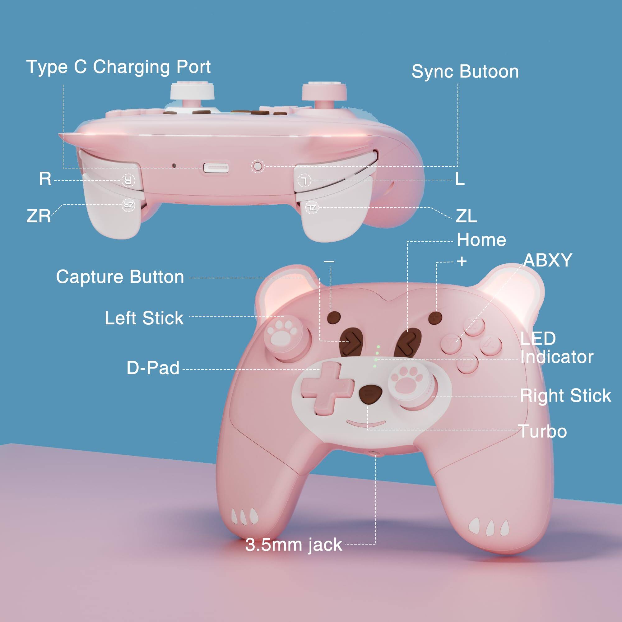 - Type C Charging Port
- Sync Button
- R
- ZR
- Capture Button
- L
- ZL
- Home
- ABXY
- Left Stick
- D-Pad
- LED Indicator
- Right Stick
- Turbo
- 3.5mm jack