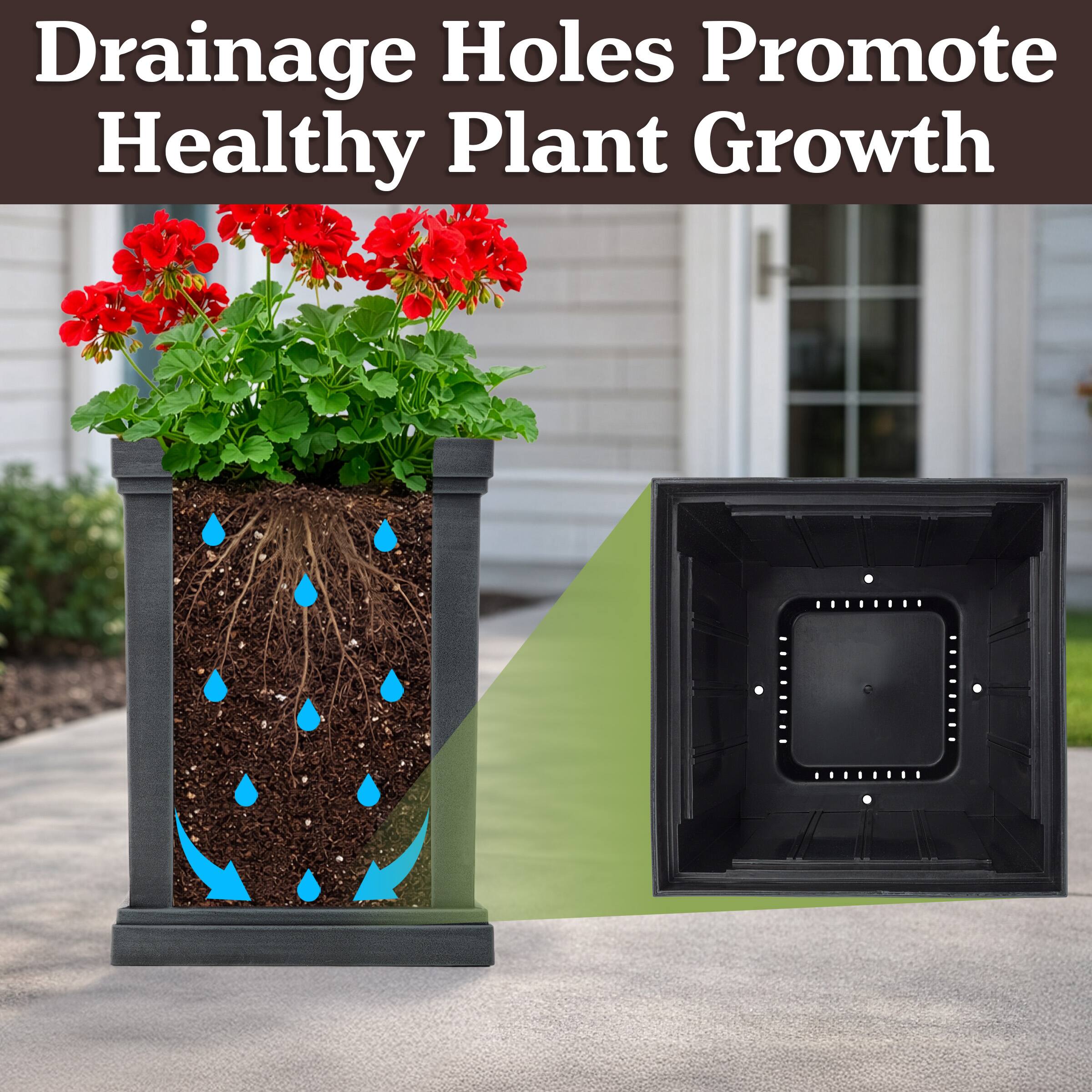 Drainage Holes Promote Healthy Plant Growth