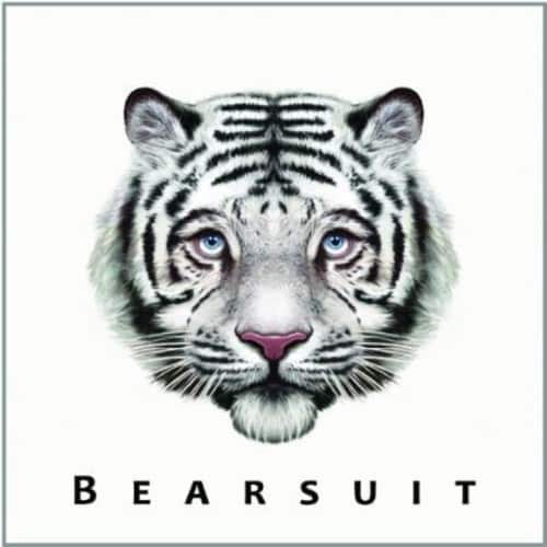 Bearsuit - The Phantom Forest   - VINYL LP price history on PriceWatchPro