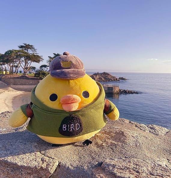 Alt View 5. Rilakkuma - Kiiroitori San-X Original: Always with Rilakkuma Series Plush.