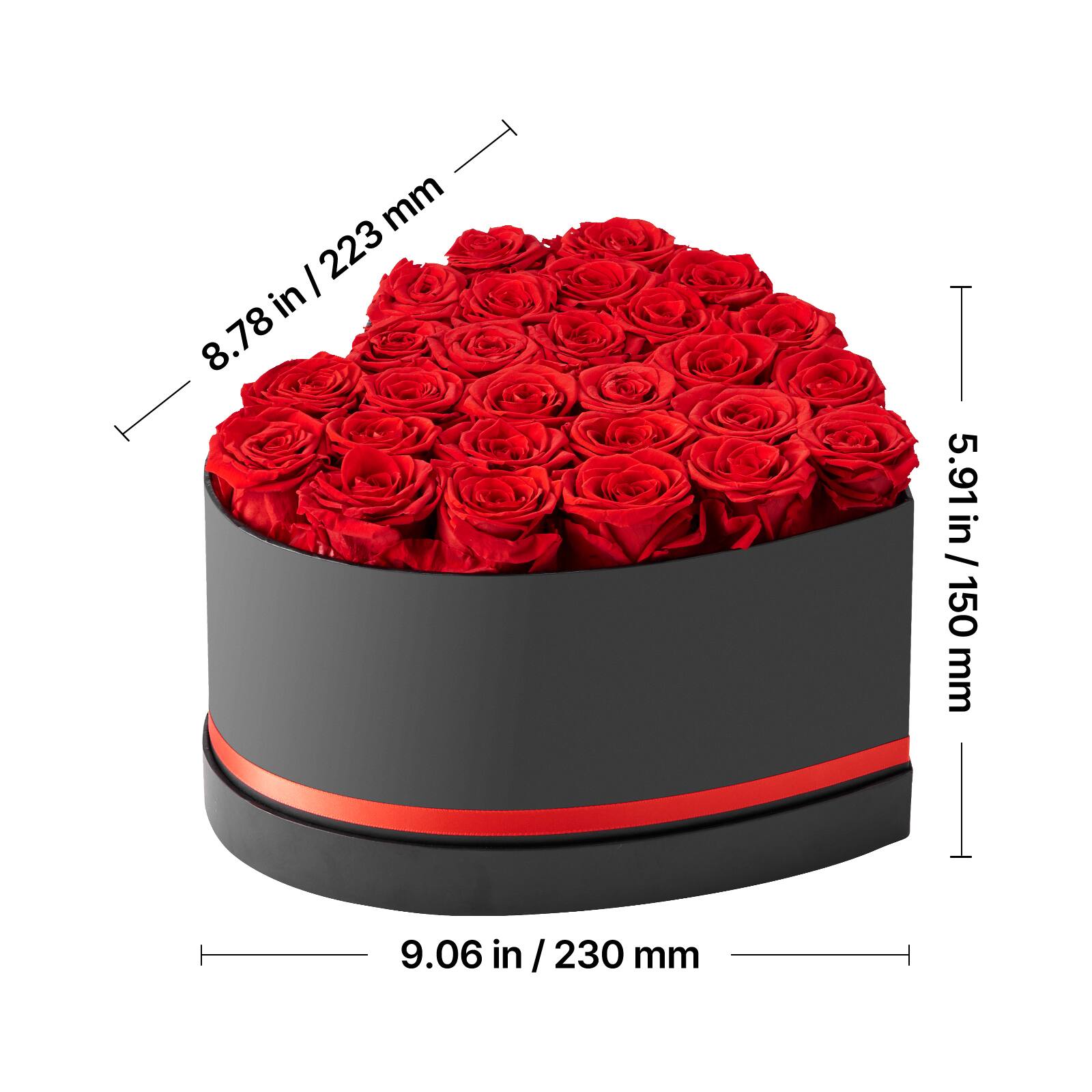 - 8.78 in / 223 mm
- 5.91 in / 150 mm
- 9.06 in / 230 mm