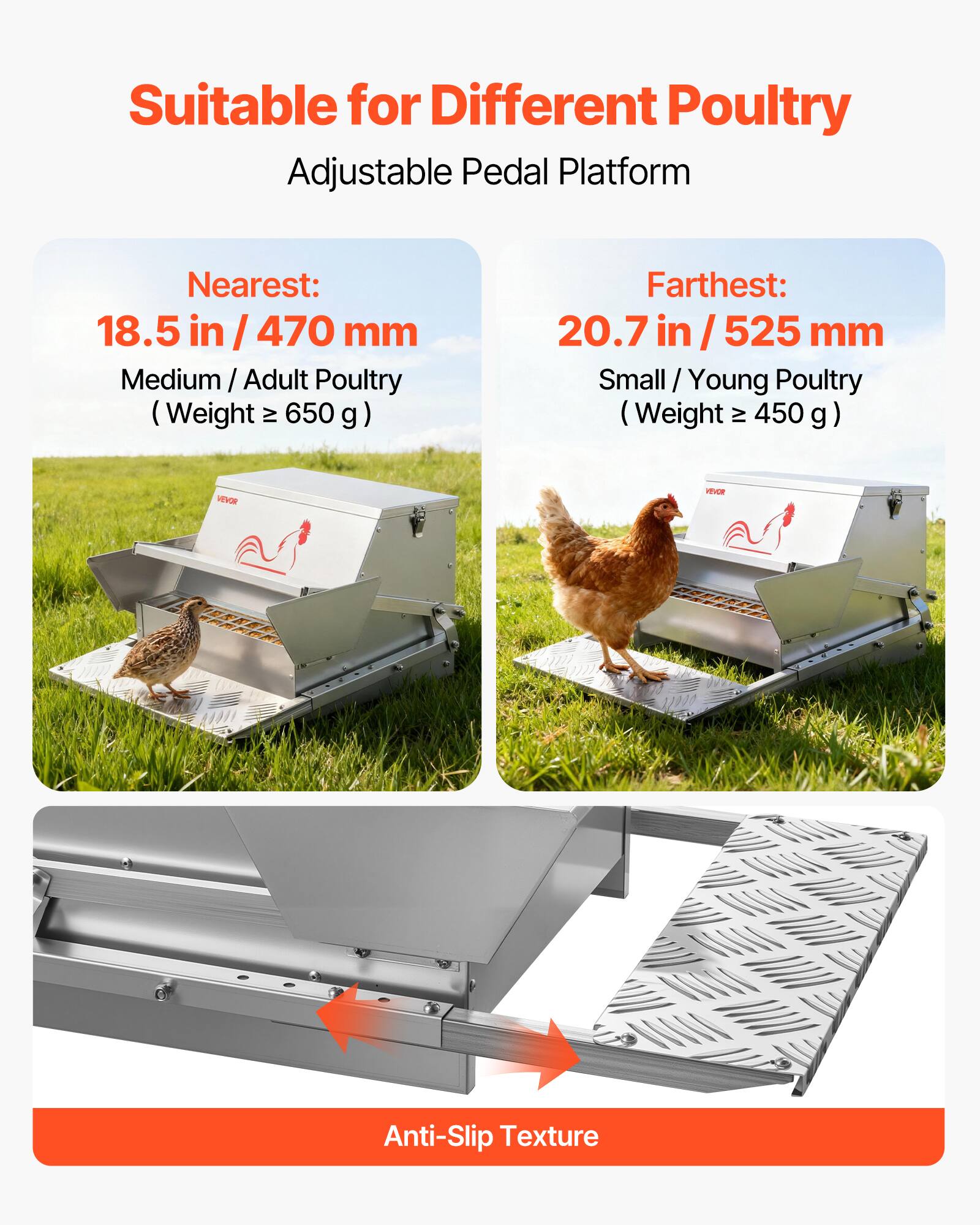 Suitable for Different Poultry  
Adjustable Pedal Platform  

Nearest:  
18.5 in / 470 mm  
Medium / Adult Poultry (Weight ≥ 650 g)  

Farthest:  
20.7 in / 525 mm  
Small / Young Poultry (Weight ≥ 450 g)  

Anti-Slip Texture