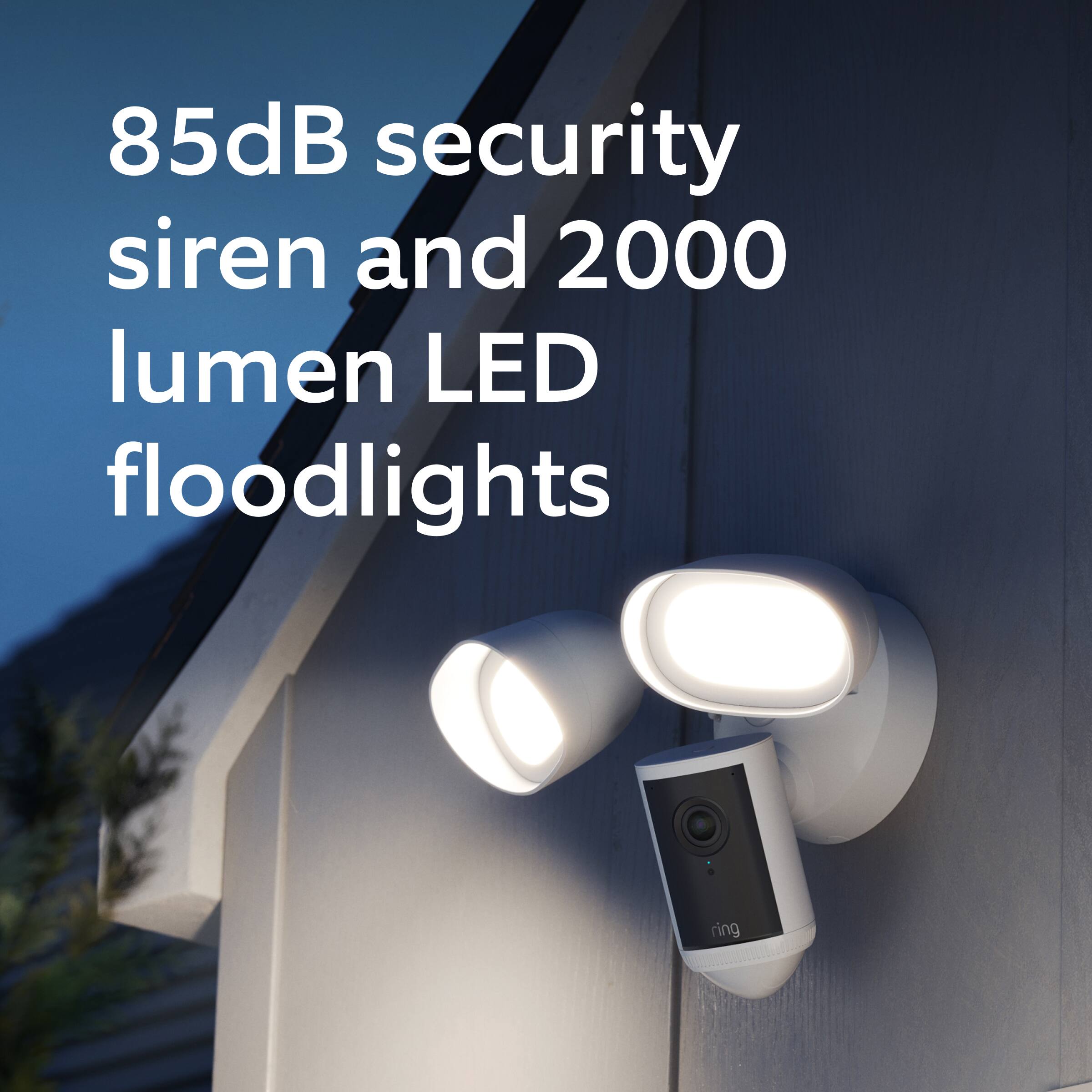 85dB security siren and 2000 lumen LED floodlights