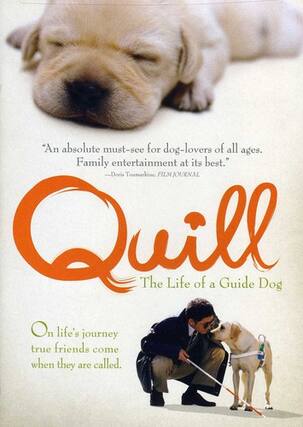 Front. Quill: The Life of a Guide Dog - DVD.