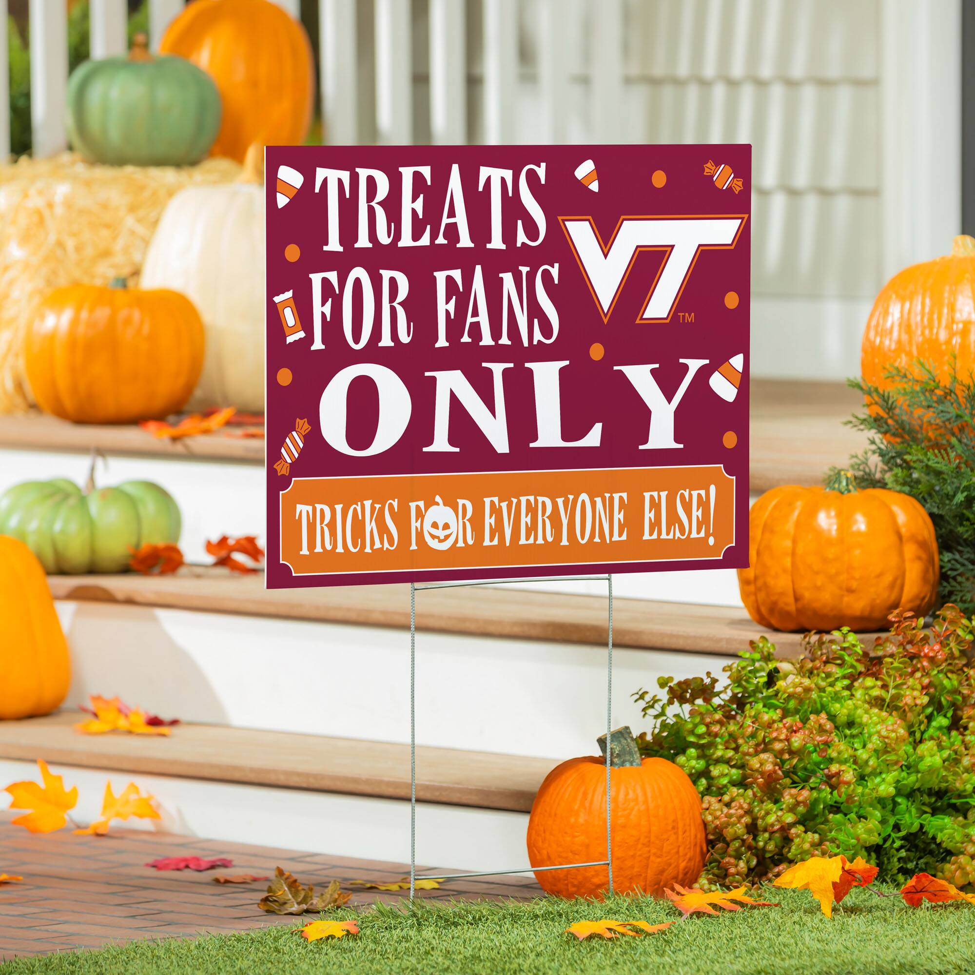 TREATS FOR FANS ONLY  
VT  
TRICKS FOR EVERYONE ELSE!