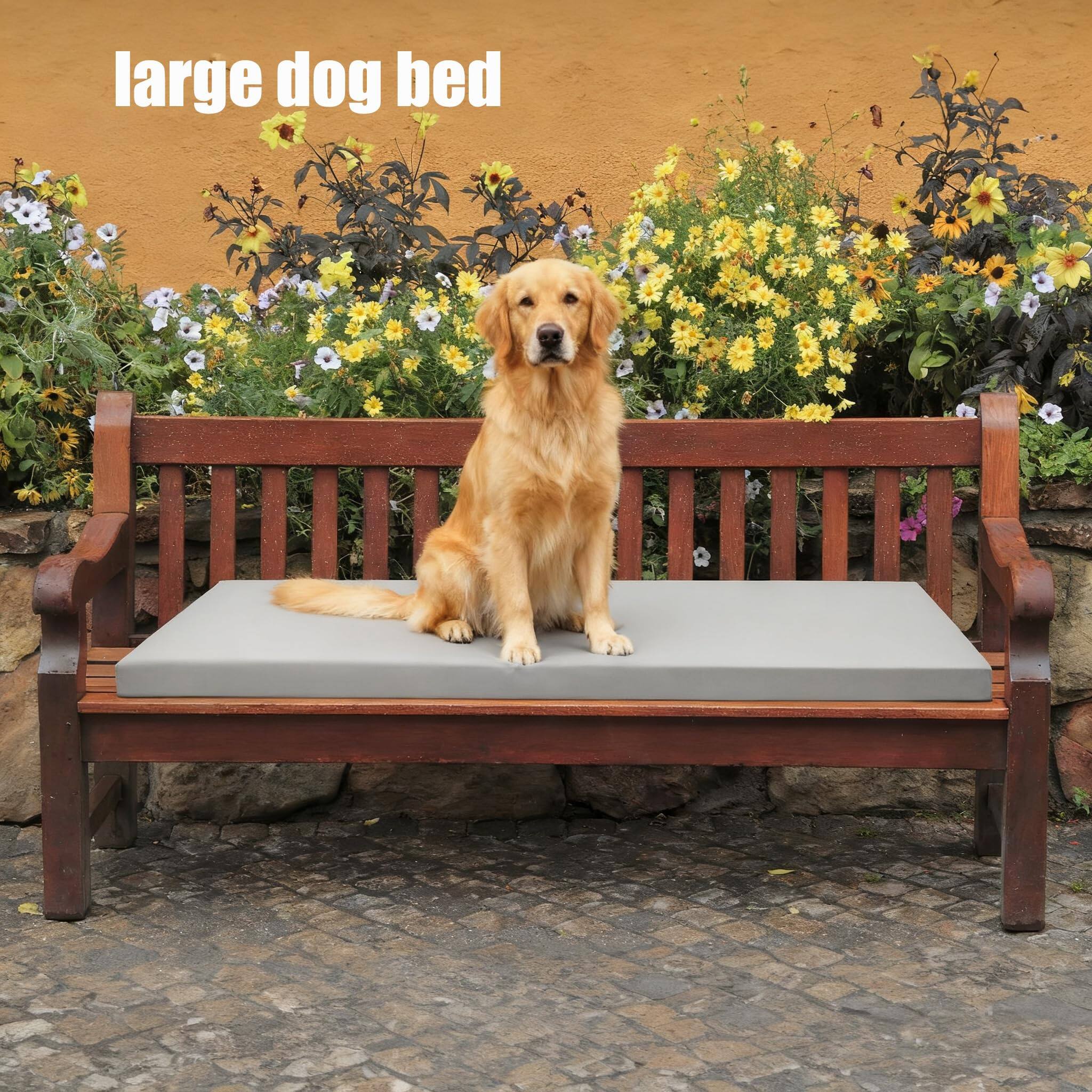 large dog bed