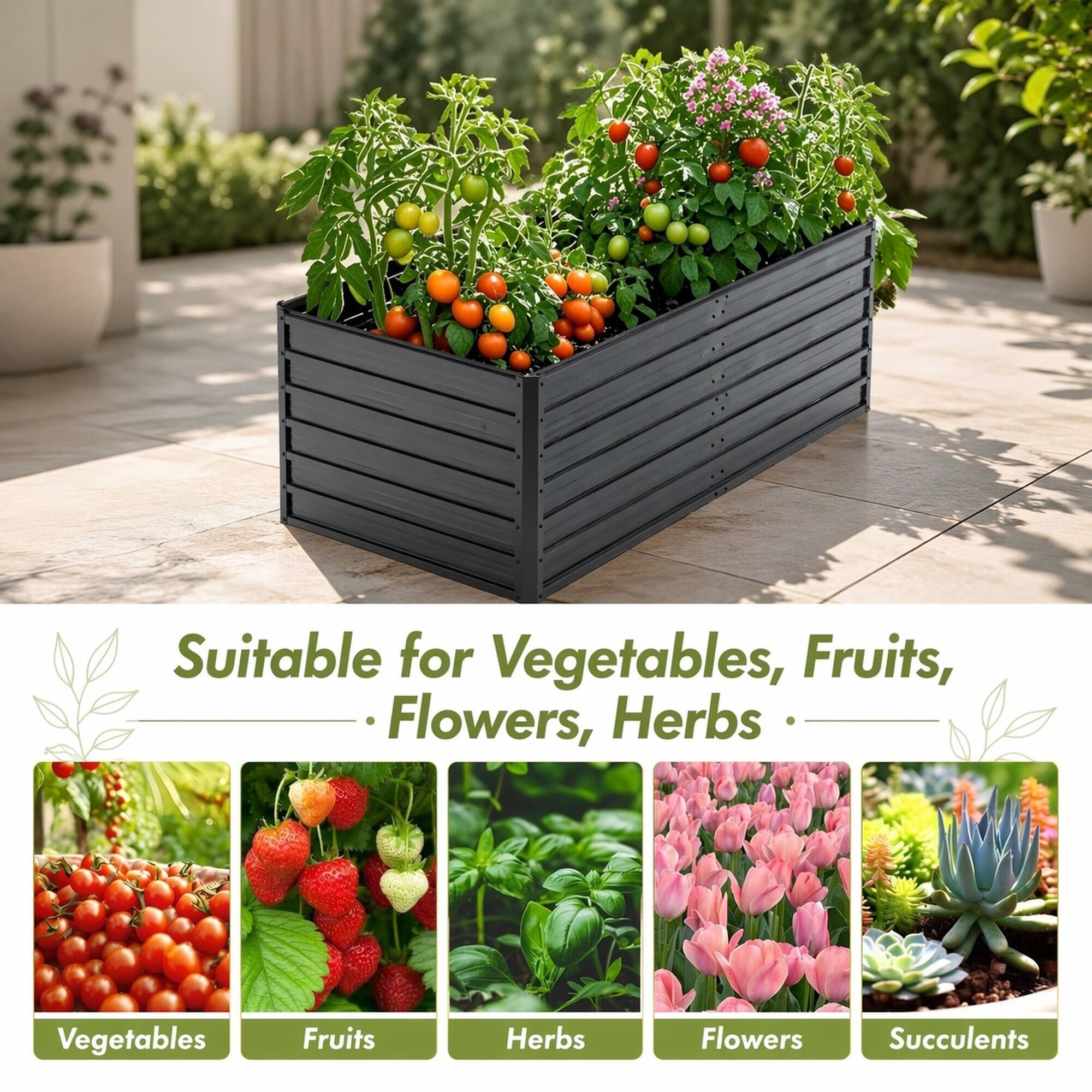 Suitable for Vegetables, Fruits, Flowers, Herbs

- Vegetables
- Fruits
- Herbs
- Flowers
- Succulents