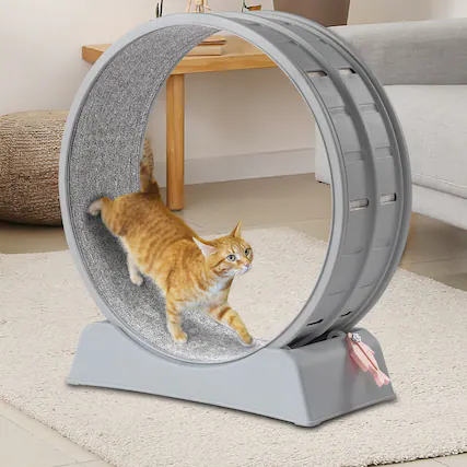 Front. Winado - 30in Cat Exercise Wheel Large Cat Treadmill Running Wheel for Indoor Cats - Gray.