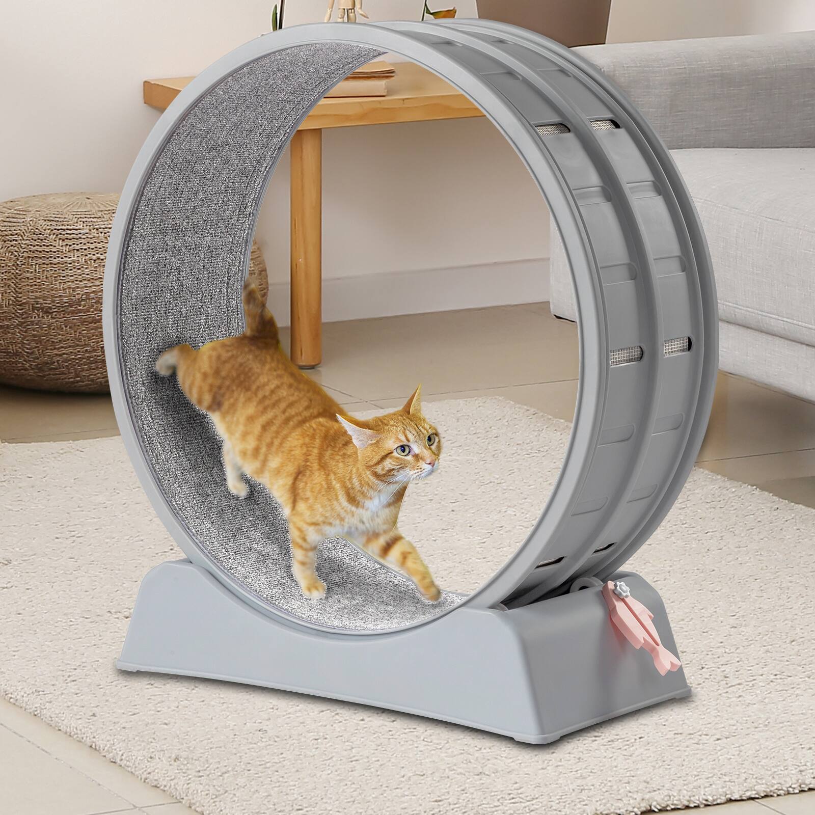 Front. Winado - 30in Cat Exercise Wheel Large Cat Treadmill Running Wheel for Indoor Cats - Gray.