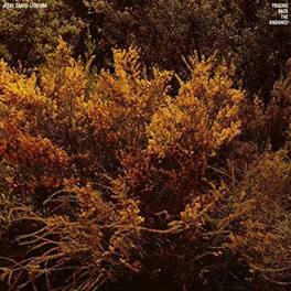 Jefre Cantu-Ledesma - Tracing Back The Radiance - VINYL LP