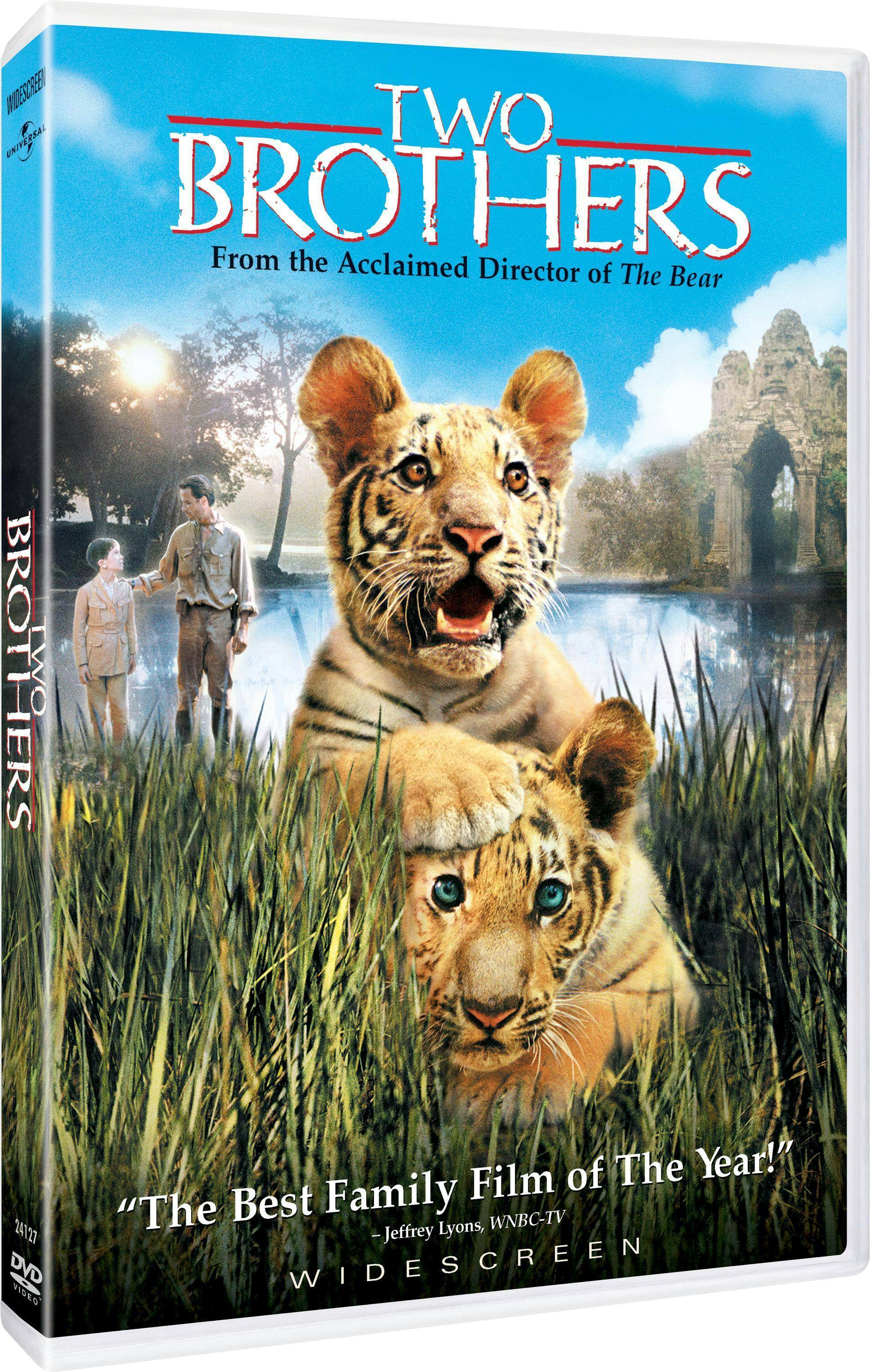 Angle. Two Brothers (DVD Widescreen) [DVD].