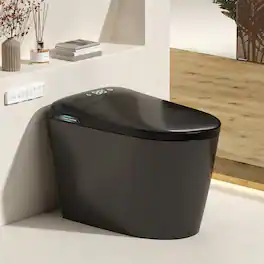 Loheer - Tankless Smart Toilet With Built In Bidet Porcelain One Piece 12 Inch Rough In - Black