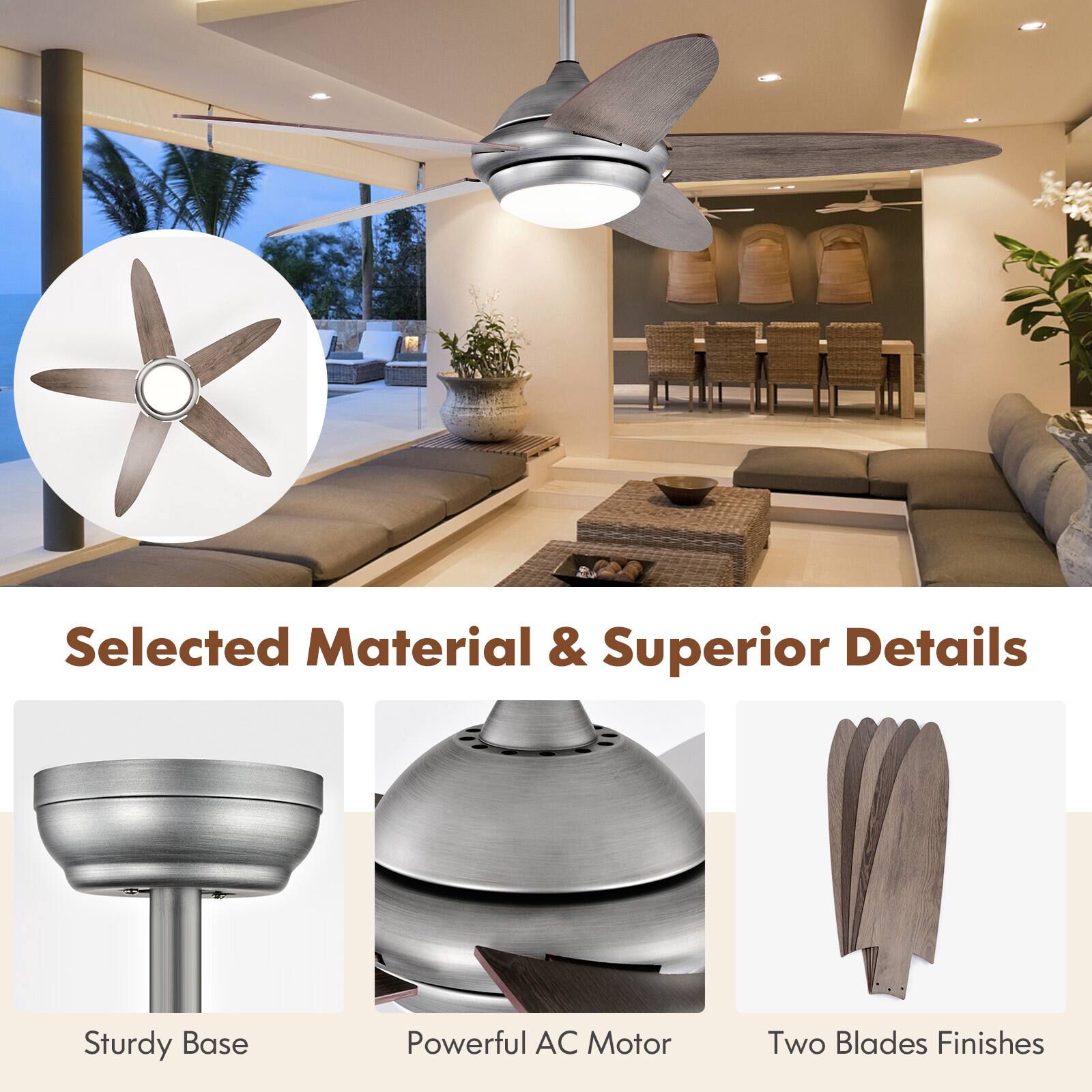 Selected Material & Superior Details  
Sturdy Base  
Powerful AC Motor  
Two Blades Finishes