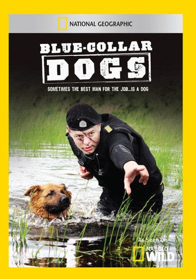 Blue Collar Dogs - DVD