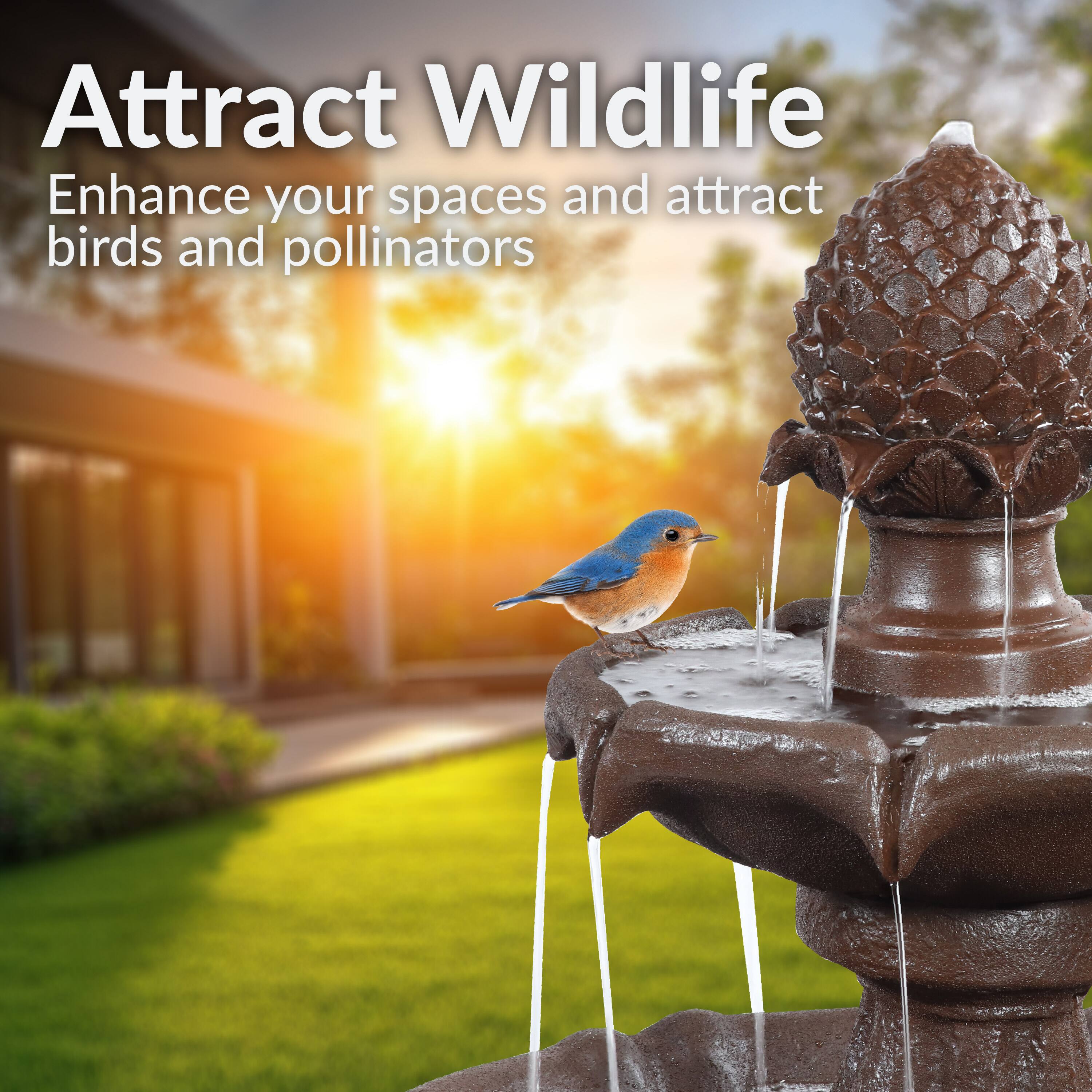 Attract Wildlife  
Enhance your spaces and attract birds and pollinators