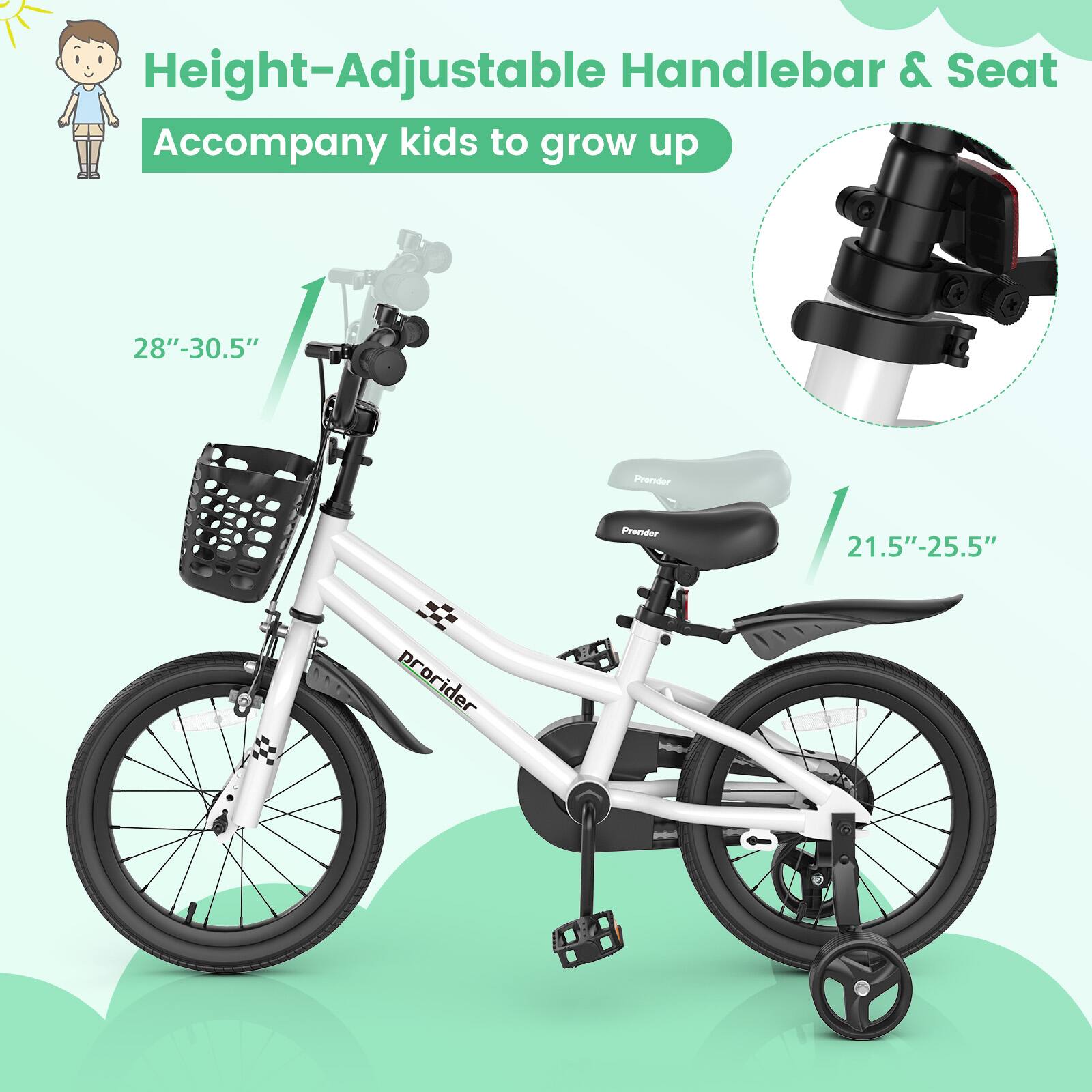 Height-Adjustable Handlebar & Seat  
Accompany kids to grow up  

28" - 30.5"  

21.5" - 25.5"  

prorider