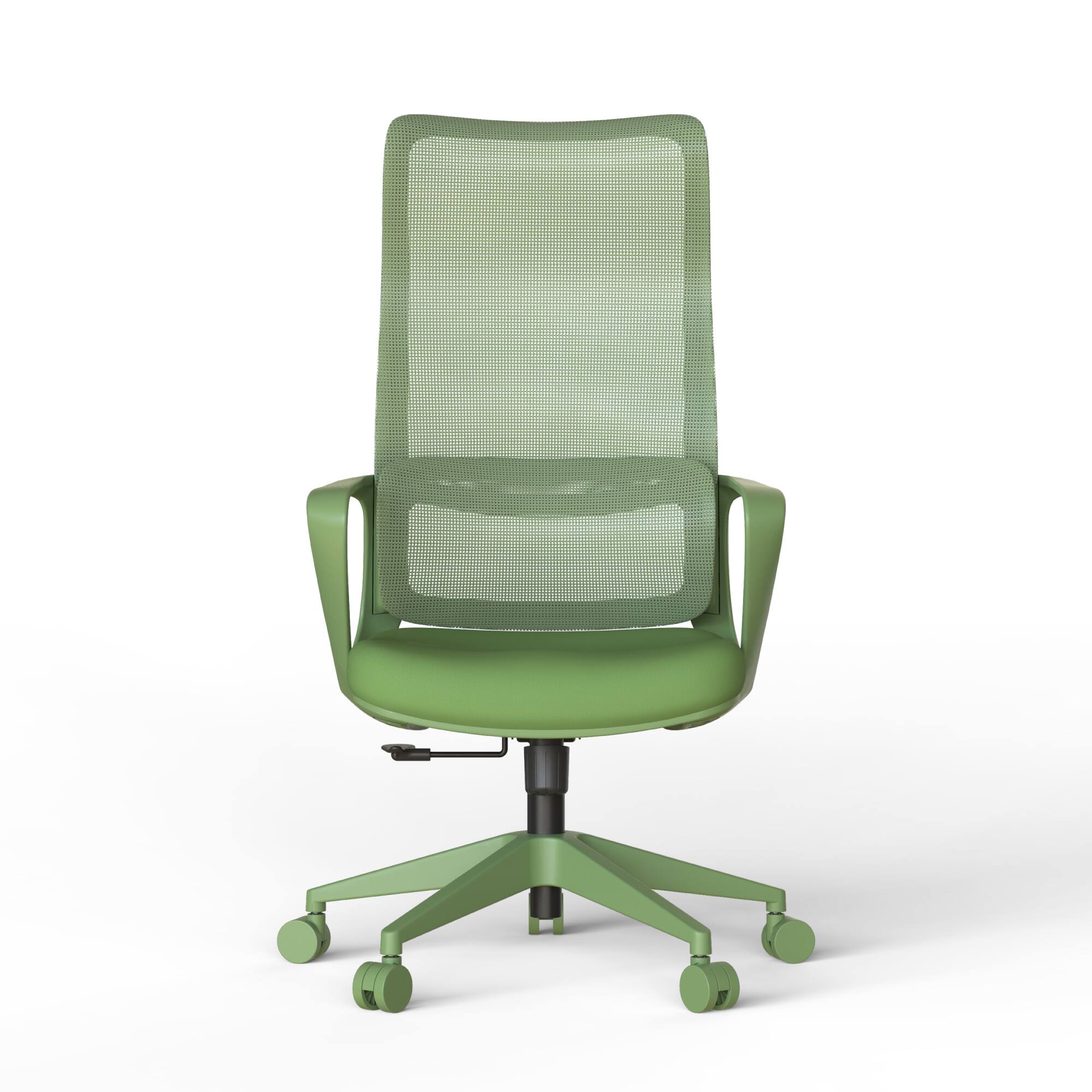 Alt View 4. Forest'nSky - Modern Ergonomic Mesh Office Chair – High-Back Executive Desk Chair with Lumbar Support, Adjustable Height, Green - Green.