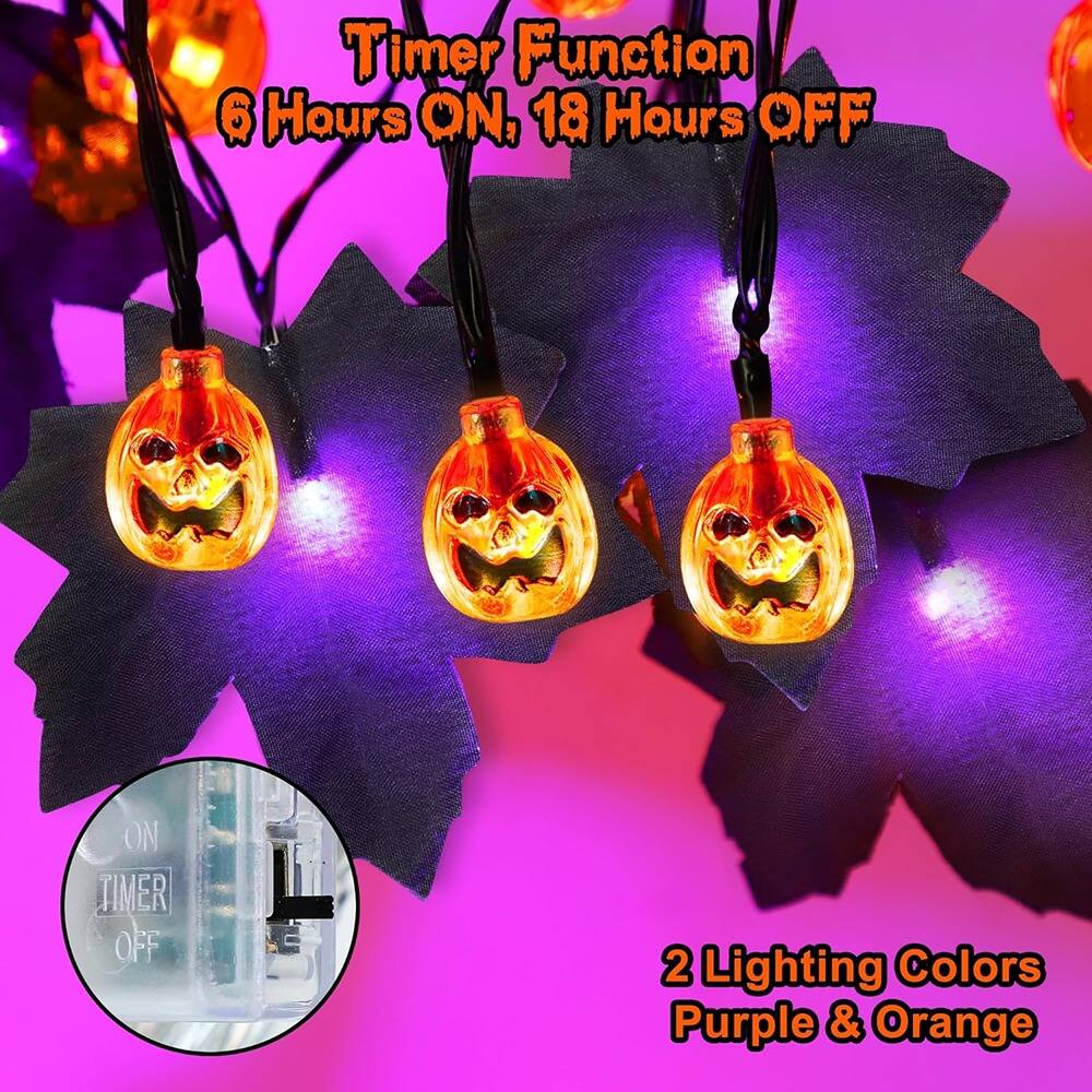 Timer Function  
6 Hours ON, 18 Hours OFF  

2 Lighting Colors  
Purple & Orange