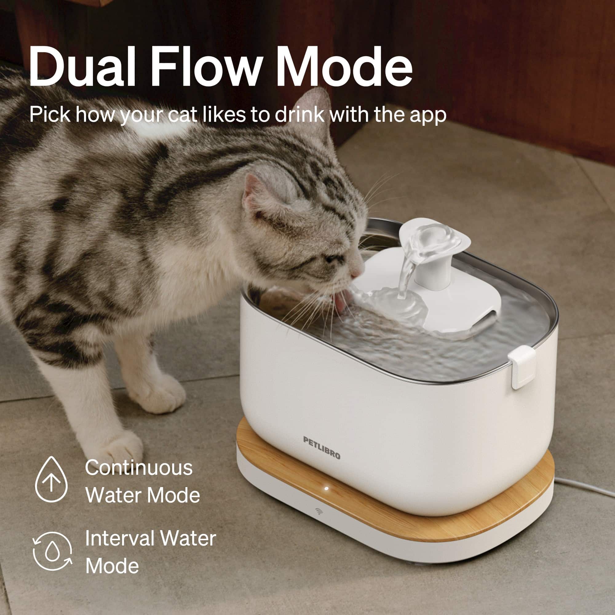 Dual Flow Mode: Pick how your cat likes to drink with the app. Continuous Water Mode and Interval Water Mode.
