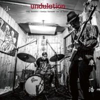 Undulation [LP] - VINYL - Front_Zoom