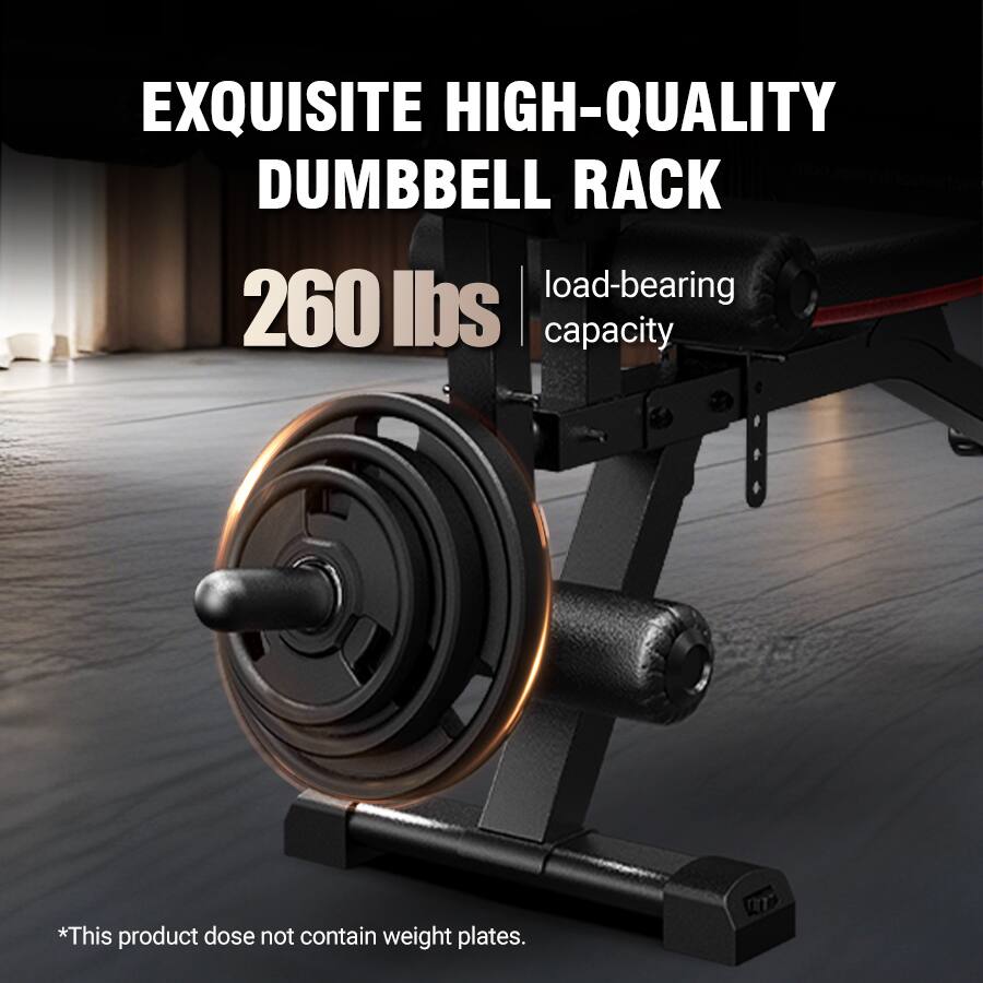 EXQUISITE HIGH-QUALITY DUMBBELL RACK

260 lbs load-bearing capacity

*This product does not contain weight plates.