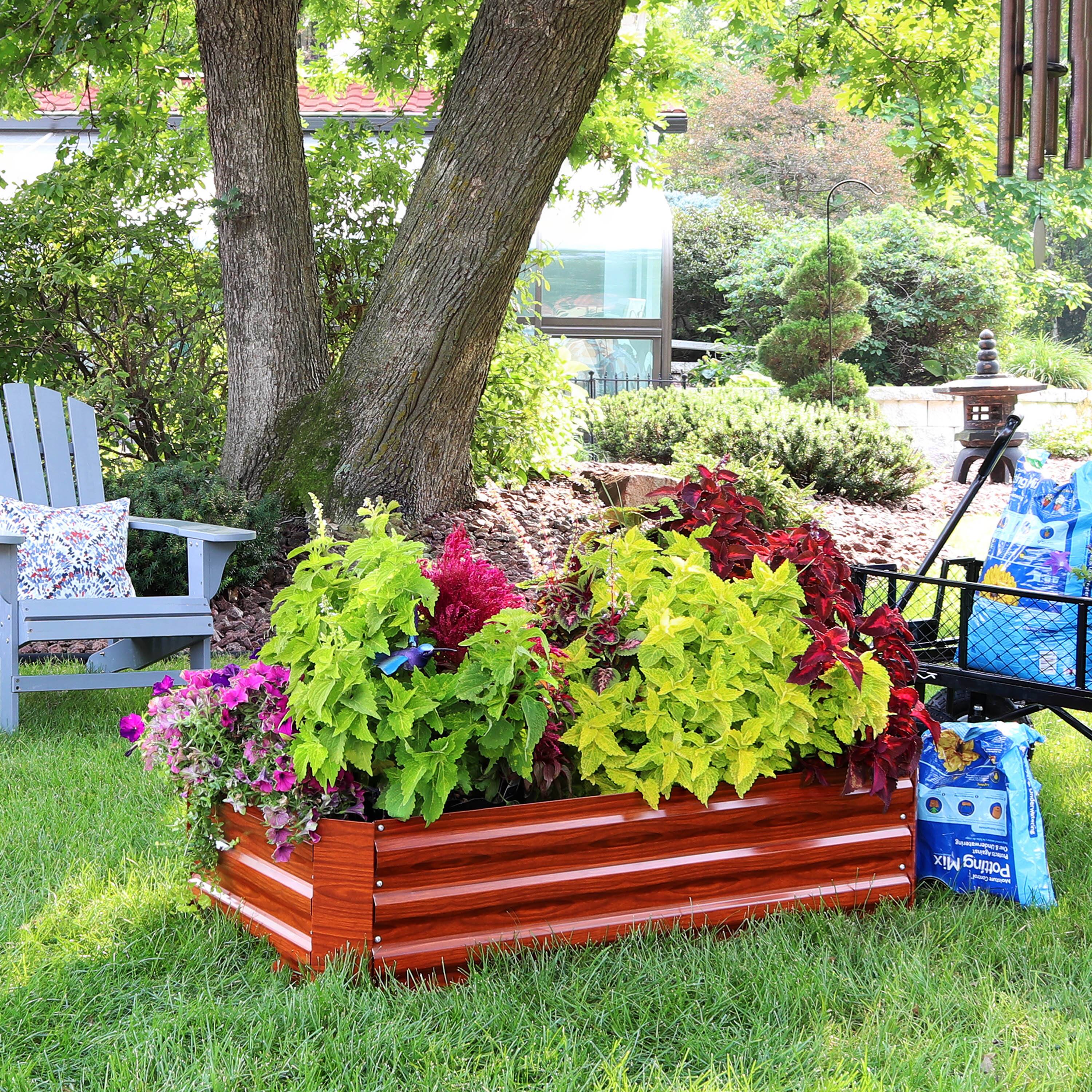 The text on the image reads:

"Dr. Earth"