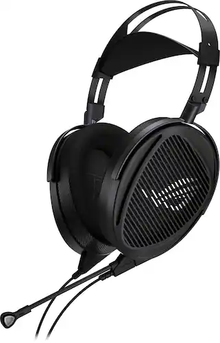 Audiophile Headphones