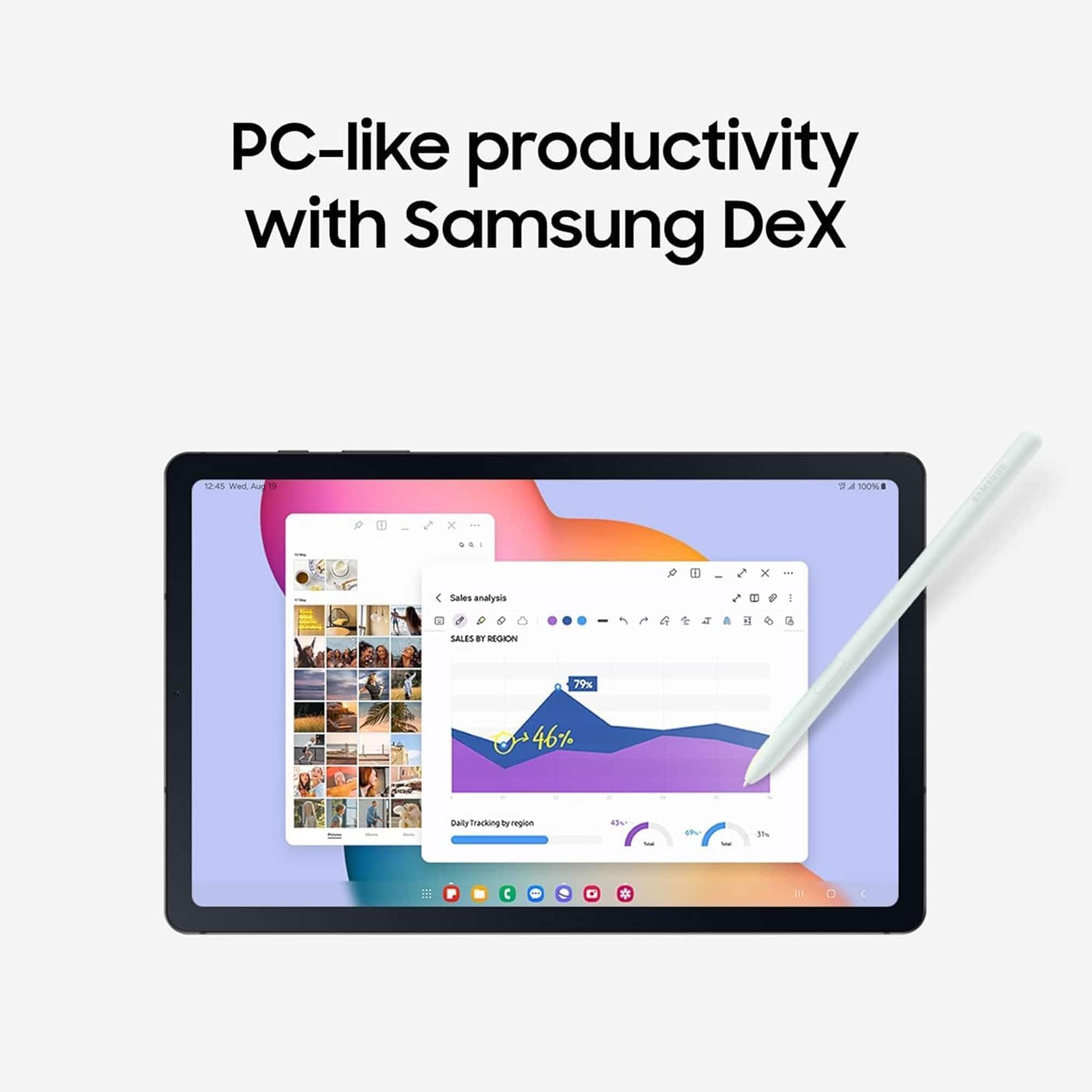 Samsung Galaxy Tab S6 Lite (2024) 10.4