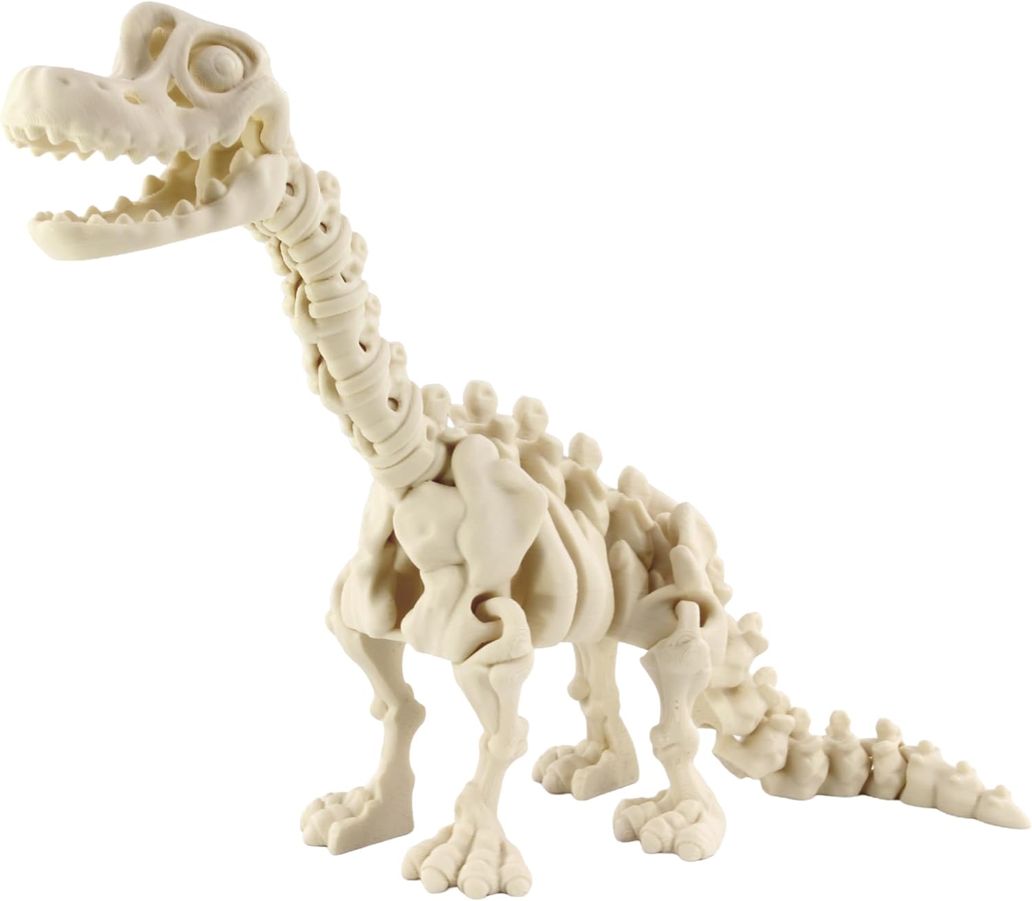 Front. JuzToys - 3D Printed Skeleton Brachiosaurus, Prehistoric Collectible Articulating Dinosaur Figurine Desk Décor White by PowerTRC.