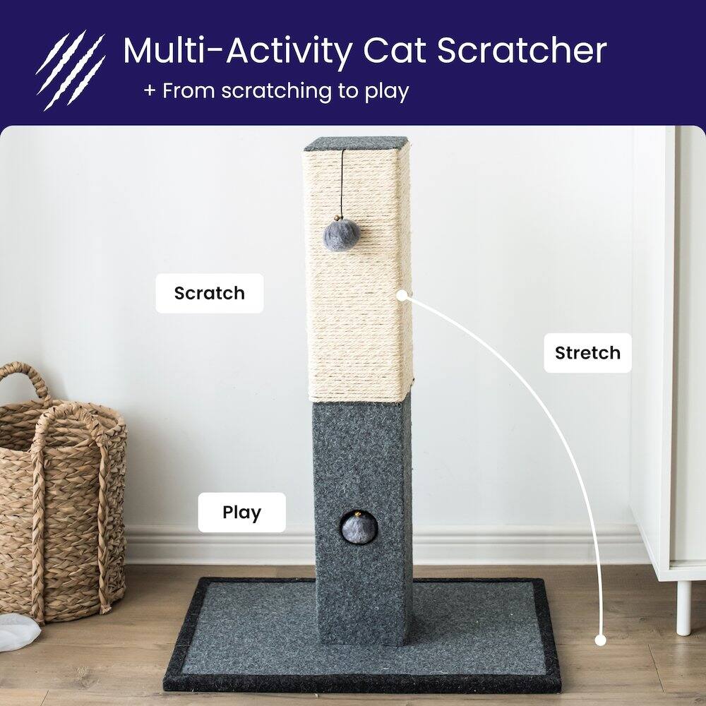 Multi-Activity Cat Scratcher  
+ From scratching to play  

Scratch  
Stretch  
Play