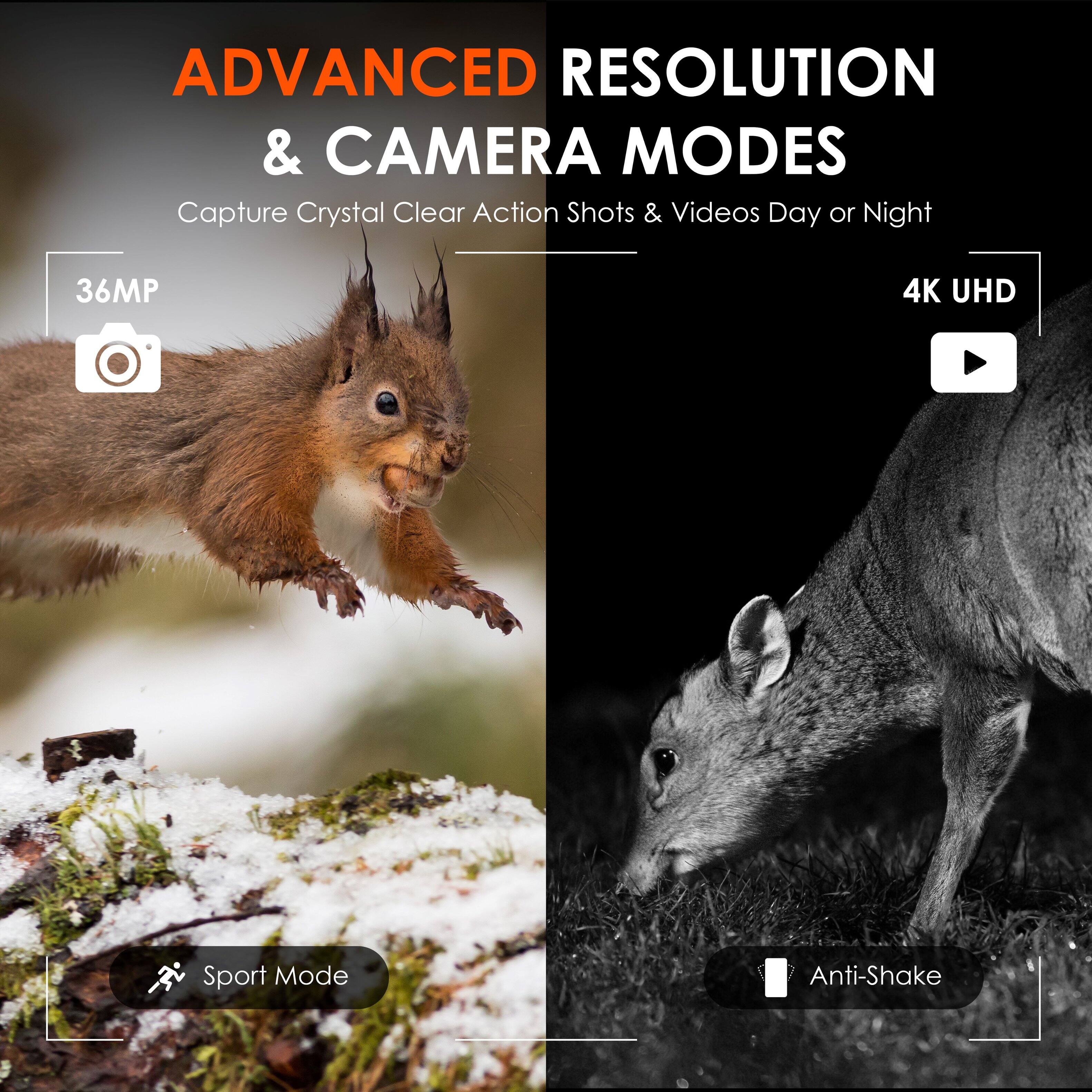 ADVANCED RESOLUTION & CAMERA MODES
Capture Crystal Clear Action Shots & Videos Day or Night
36MP
4K UHD
Sport Mode
Anti-Shake