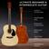 ULTIMATE BEGINNER & INTERMEDIATE GUITAR
- Custom Tuning Pegs
- Comfortable Grip
- Rosewood Fingerboard
- Hardwood Body
- High Gloss Finish
- Handcrafted Quality
