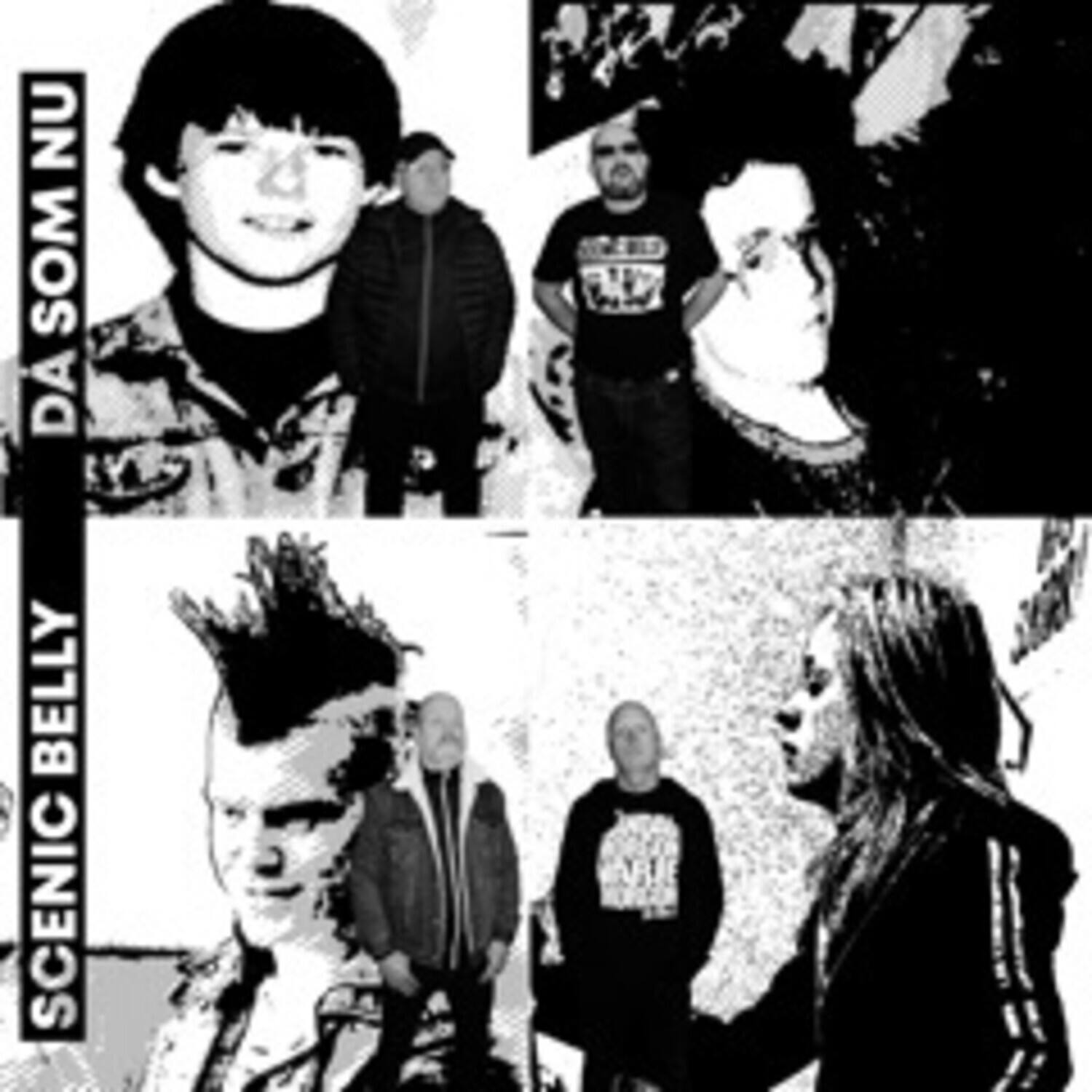 Scenic Belly - Da Som Nu   - VINYL LP price history on PriceWatchPro