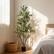 Front. NOVAROOT - 6FT Artificial Olive Trees Indoor Tall Faux Olive Tree with Lights Moss and Planter for Home Decor - Green.