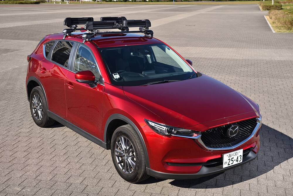 INNO Racks SKI/SNOWBOARD RACK L Silver INA951 - Best Buy