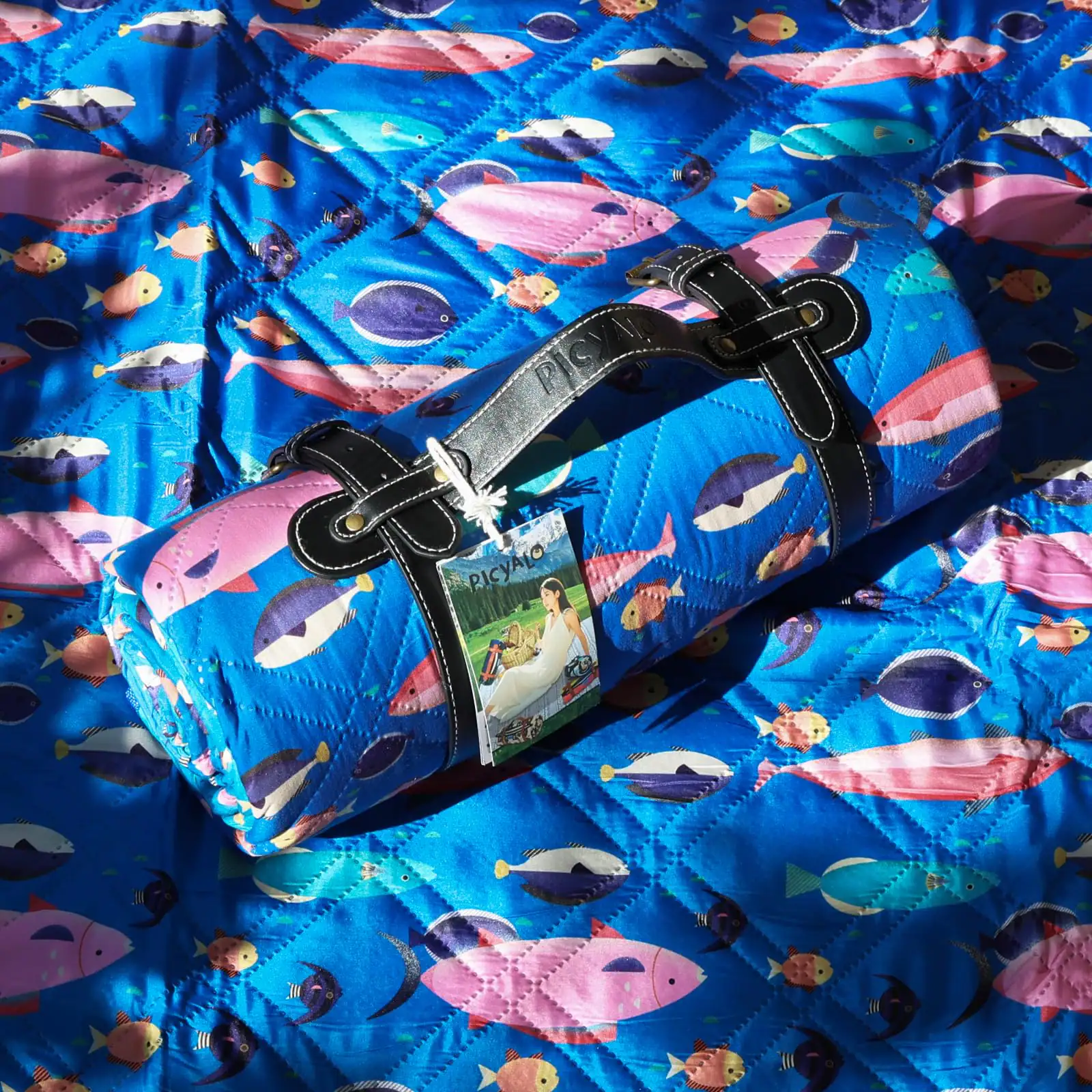 The text on the image reads: "PICYALO"