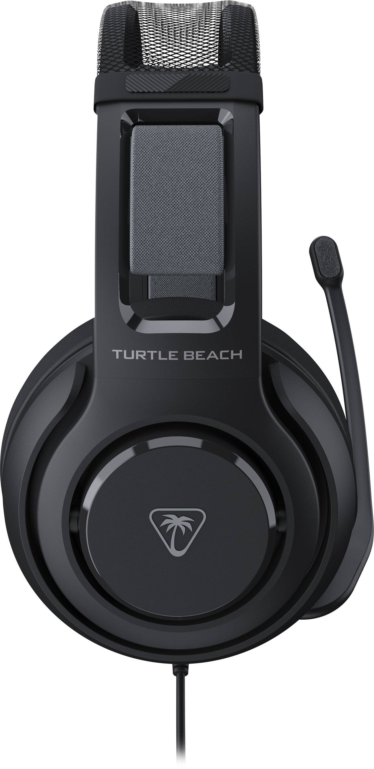 The text on the image is "TURTLE BEACH."