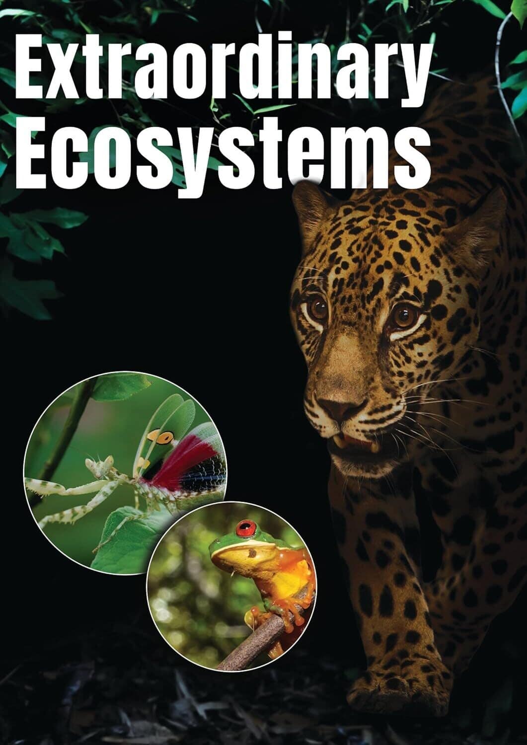 Extraordinary Ecosystems  - DVD
