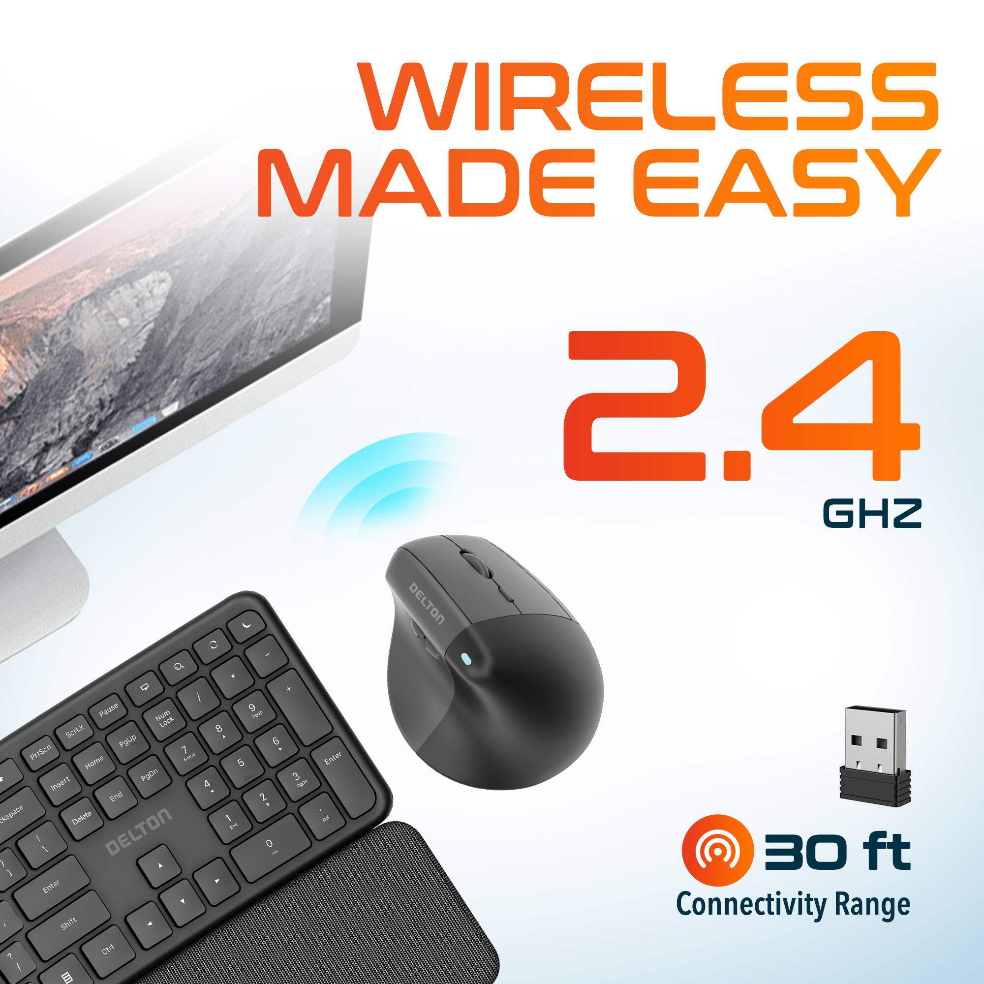 WIRELESS MADE EASY 2.4 GHZ
DELTON 30 ft Connectivity Range