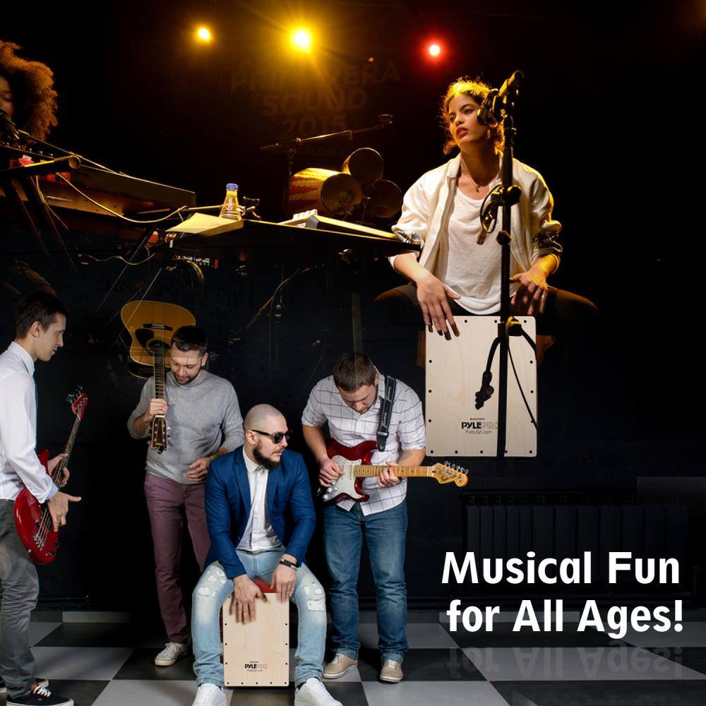 PAINVERA ERA SOUND 2015 L PYLE  
Musical Fun for All Ages!