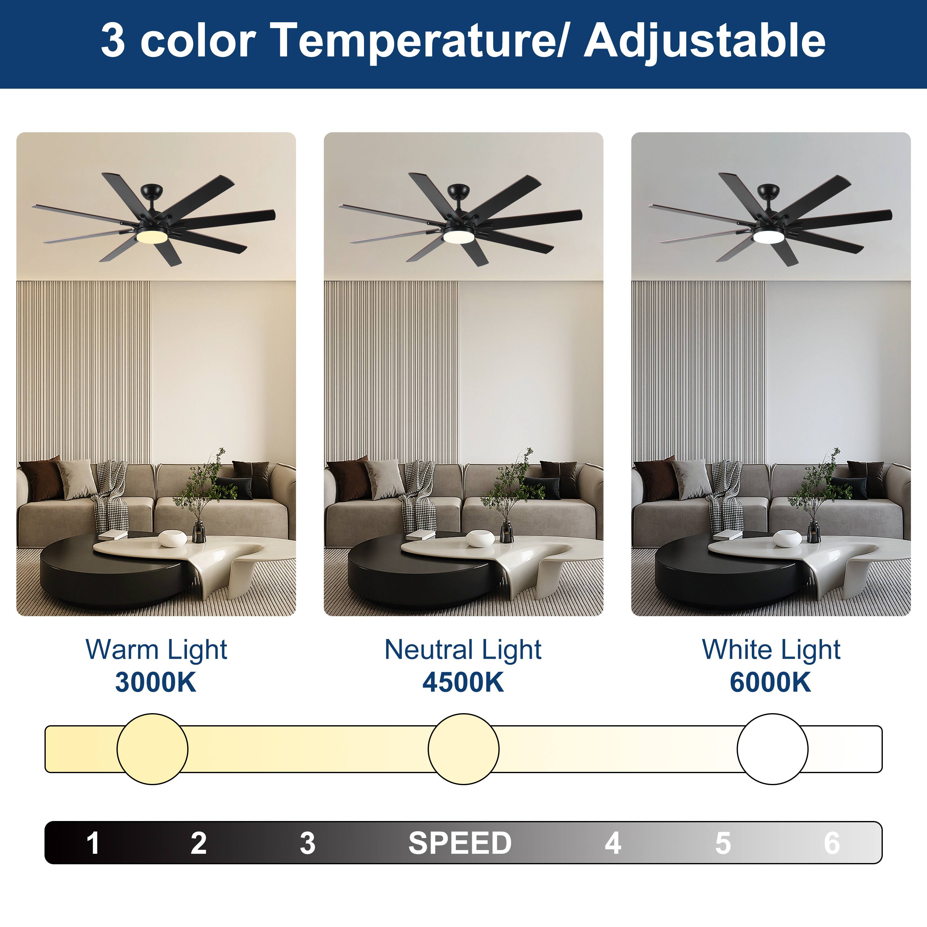 3 color Temperature/ Adjustable  
Warm Light 3000K  
Neutral Light 4500K  
White Light 6000K  

1 2 3 SPEED 4 5 6