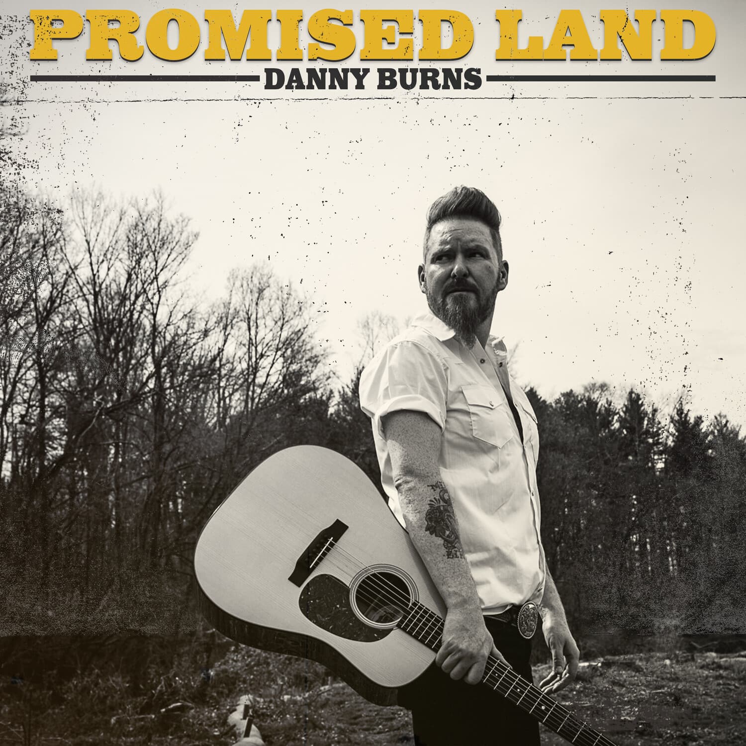 Danny Burns - Promised Land   - COMPACT DISCS [CD] price history on PriceWatchPro