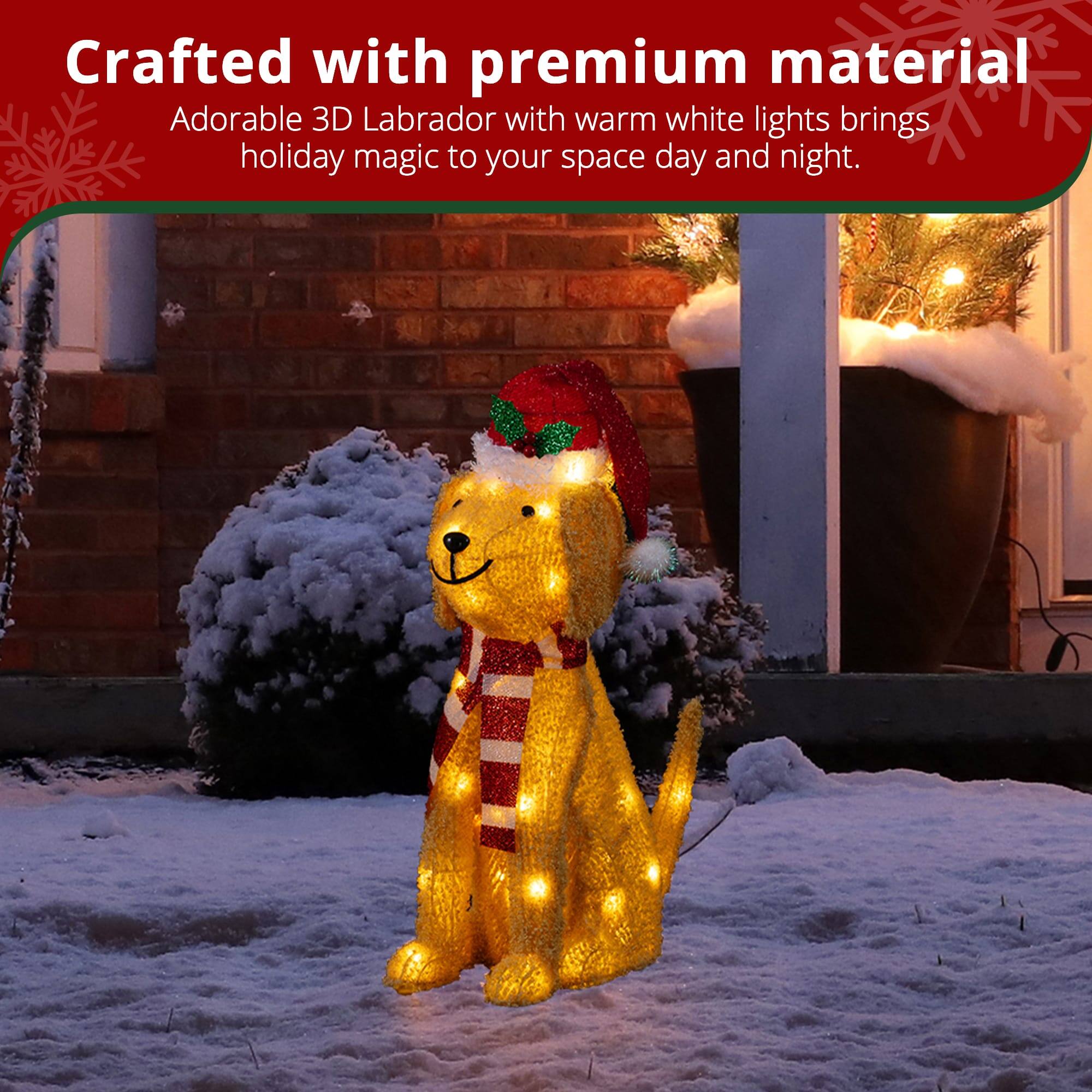 Crafted with premium material, Adorable 3D Labrador with warm white lights brings holiday magic to your space day and night.