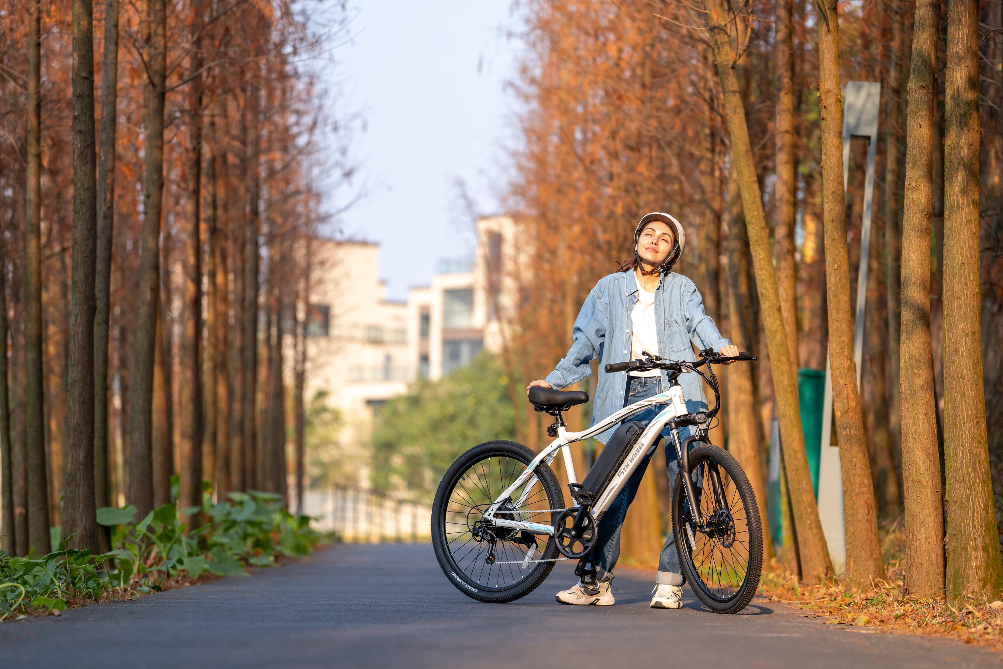 STWHEEL WHEEL ST MOUNT