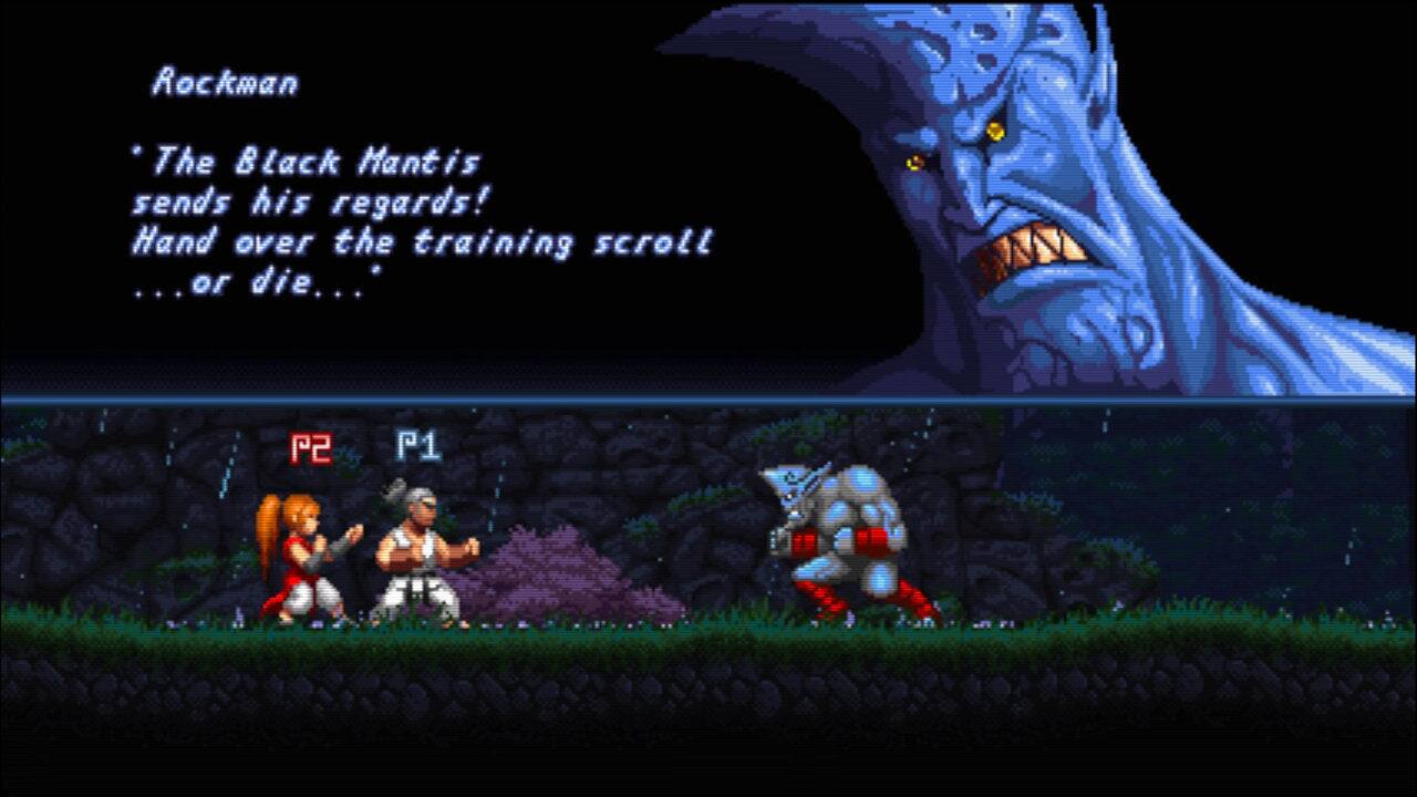 Rockman  
"The Black Mantis sends his regards! Hand over the training scroll ... or die..."  

P2 P1