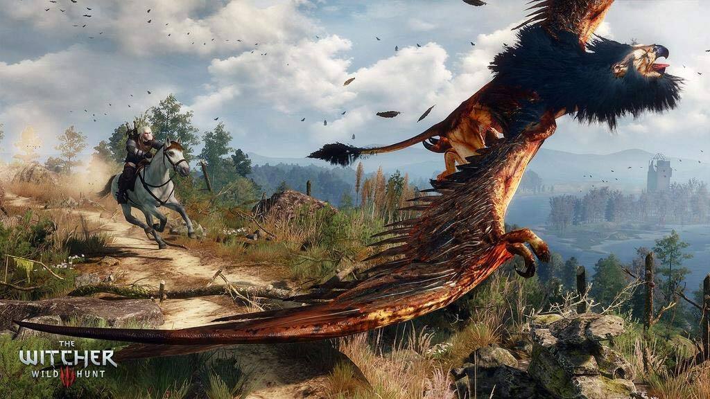 The Witcher Wild Hunt