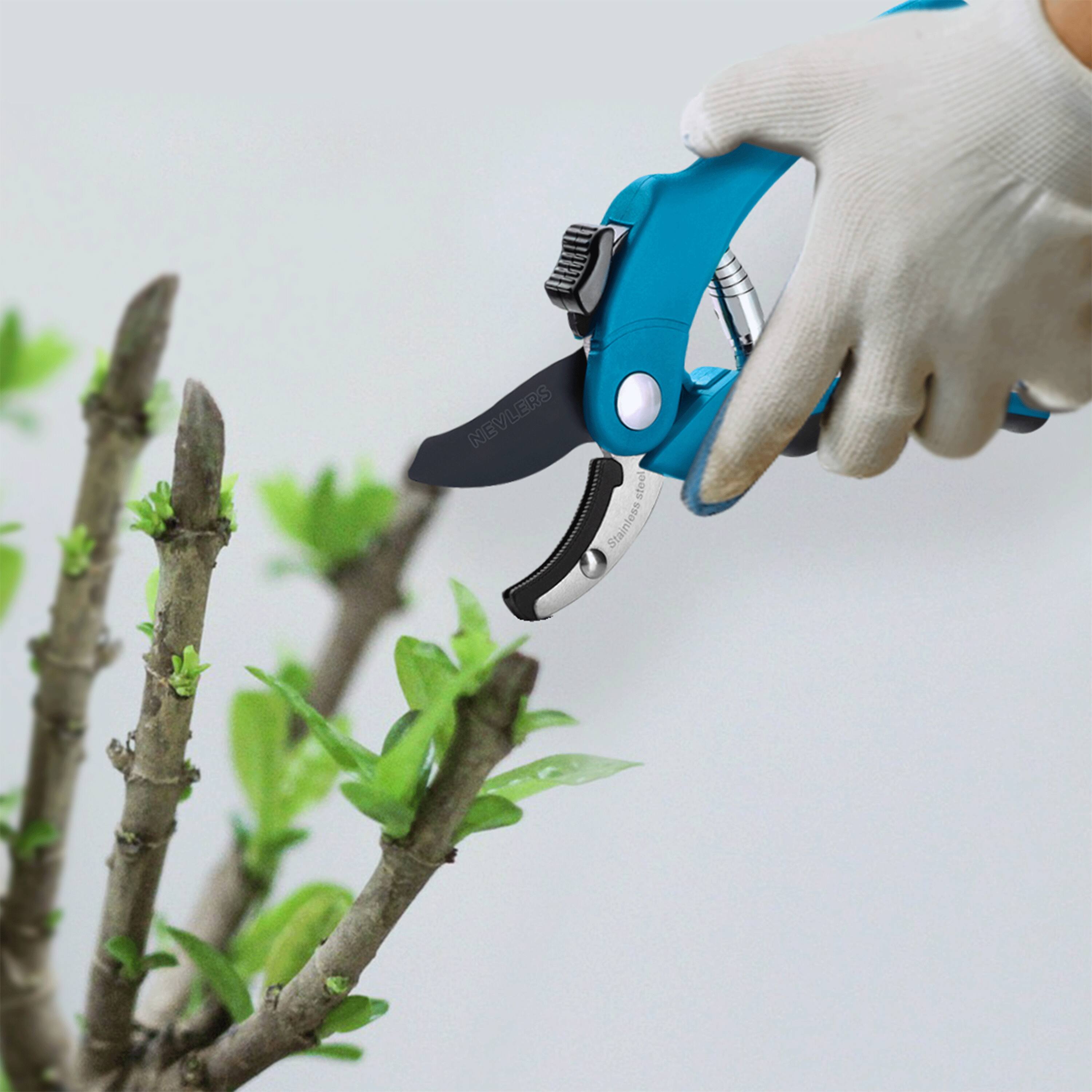 NEVLERS Steel Stainless