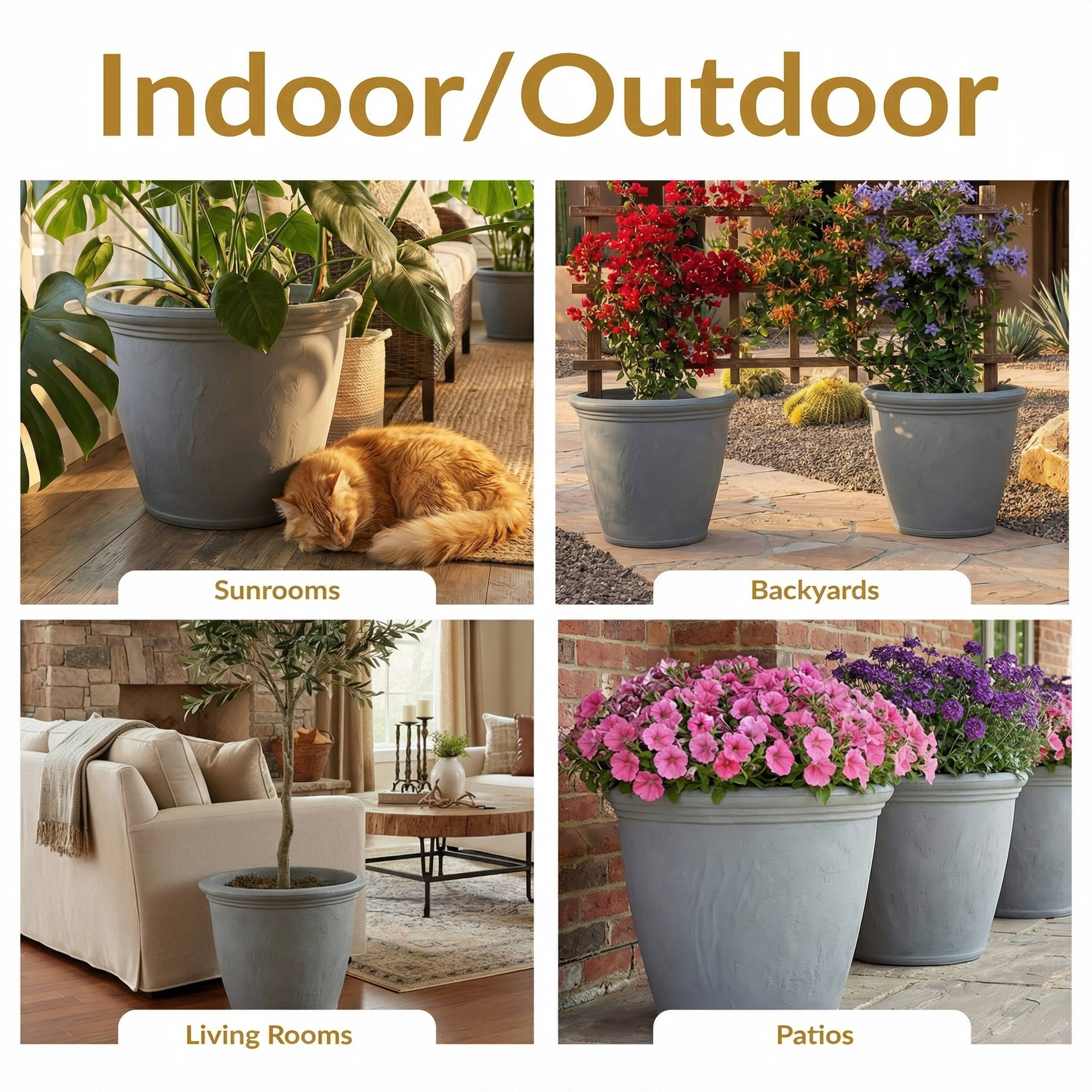 Indoor/Outdoor

Sunrooms  
Backyards  
Living Rooms  
Patios