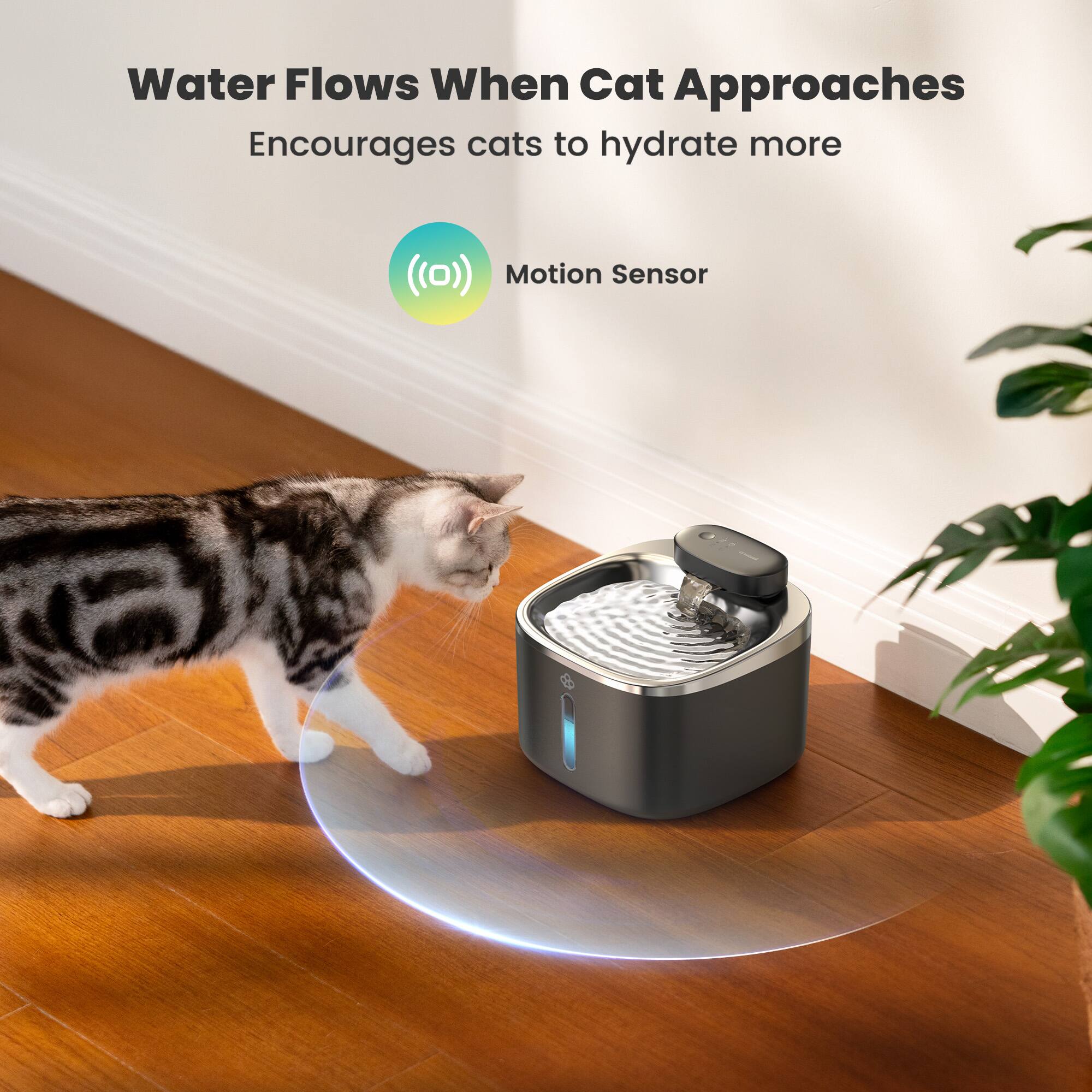 Water Flows When Cat Approaches  
Encourages cats to hydrate more  

Motion Sensor