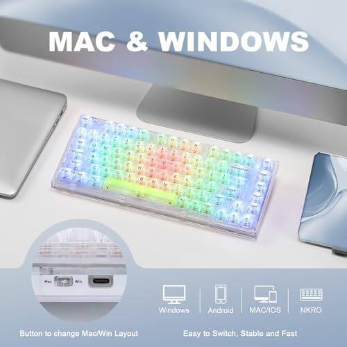 MAC & WINDOWS

Button to change Mac/Win Layout

Easy to Switch, Stable and Fast

Windows Android MAC/IOS NKRO
